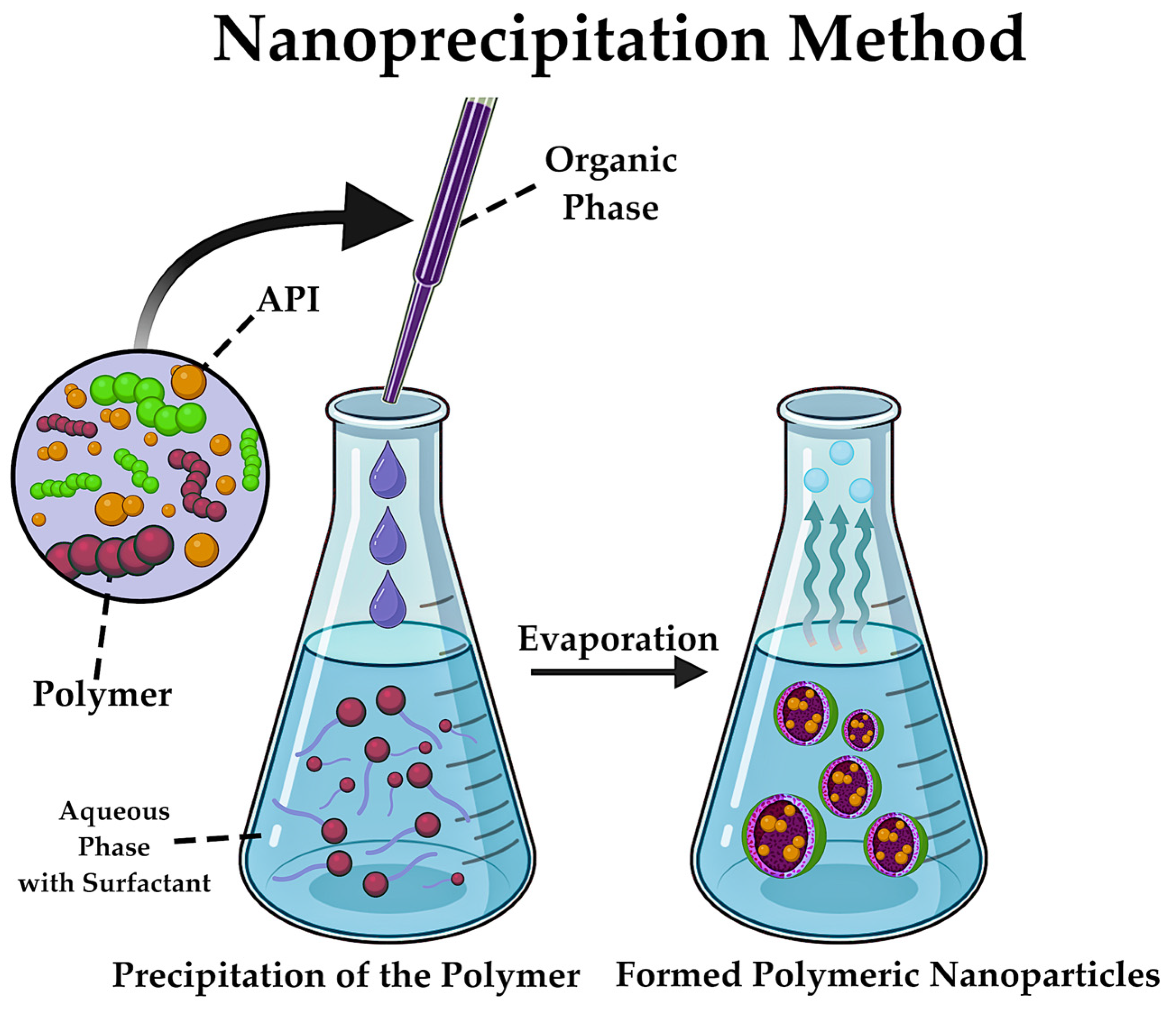 Pharmaceutics 17 00655 g015