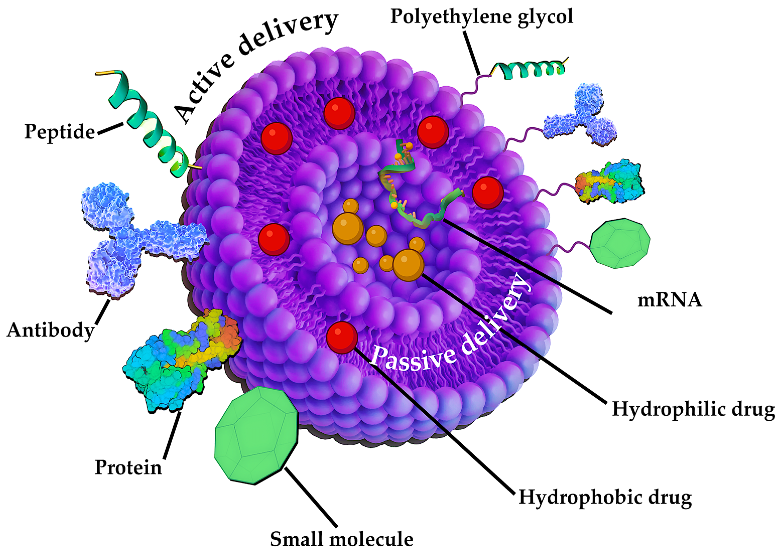 Pharmaceutics 17 00655 g016