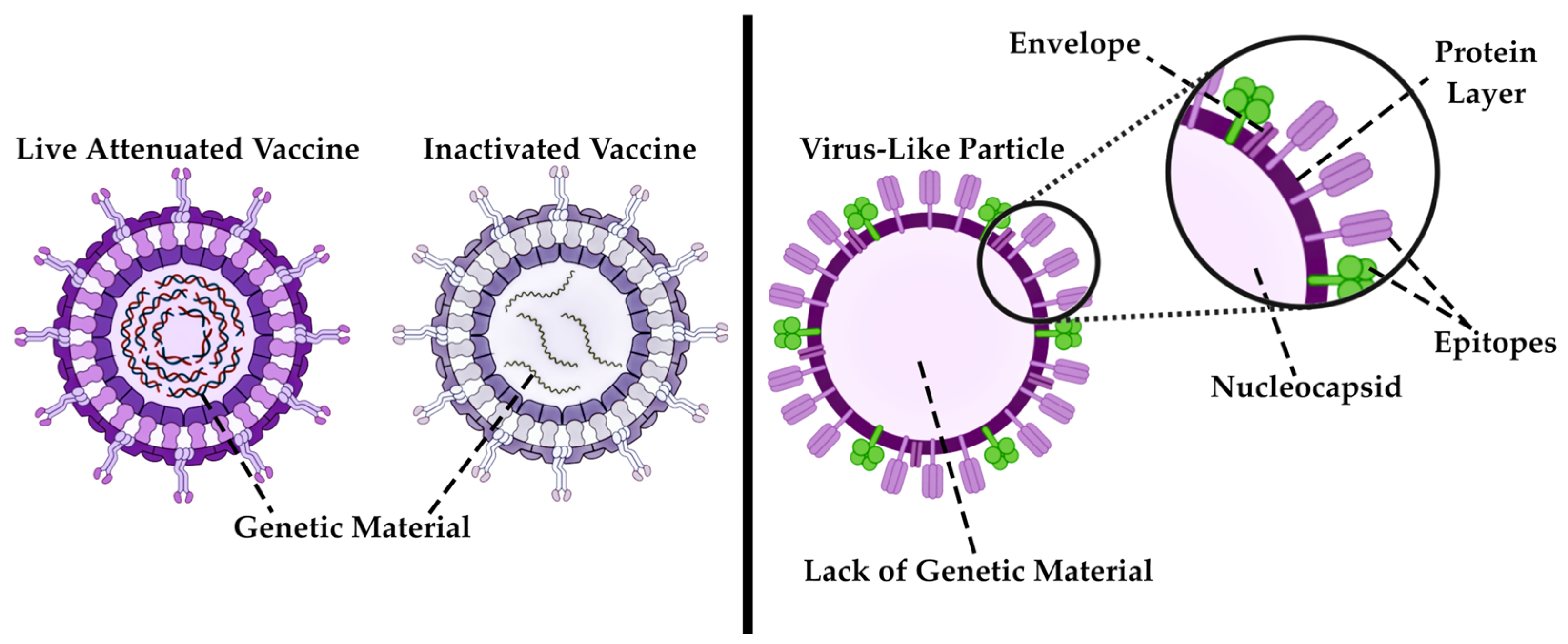Pharmaceutics 17 00655 g017
