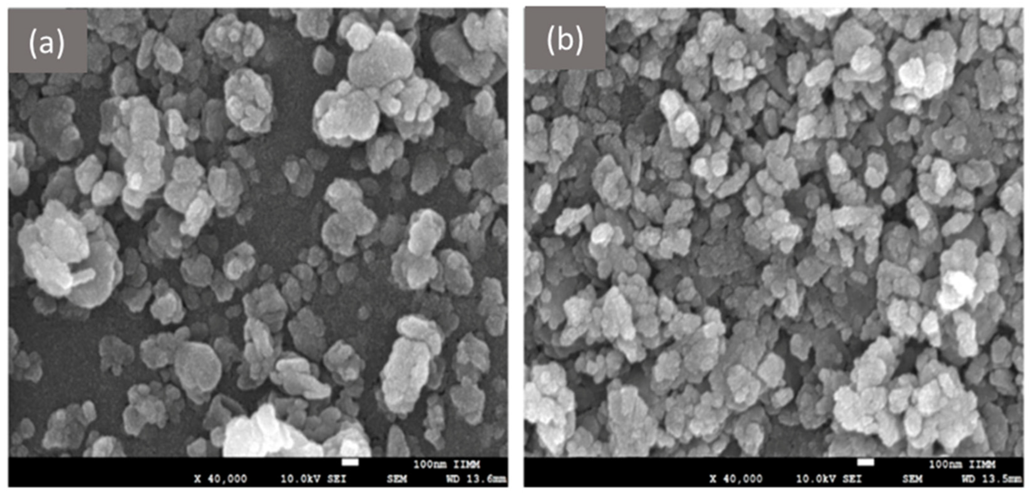 Pharmaceutics 17 00655 g018