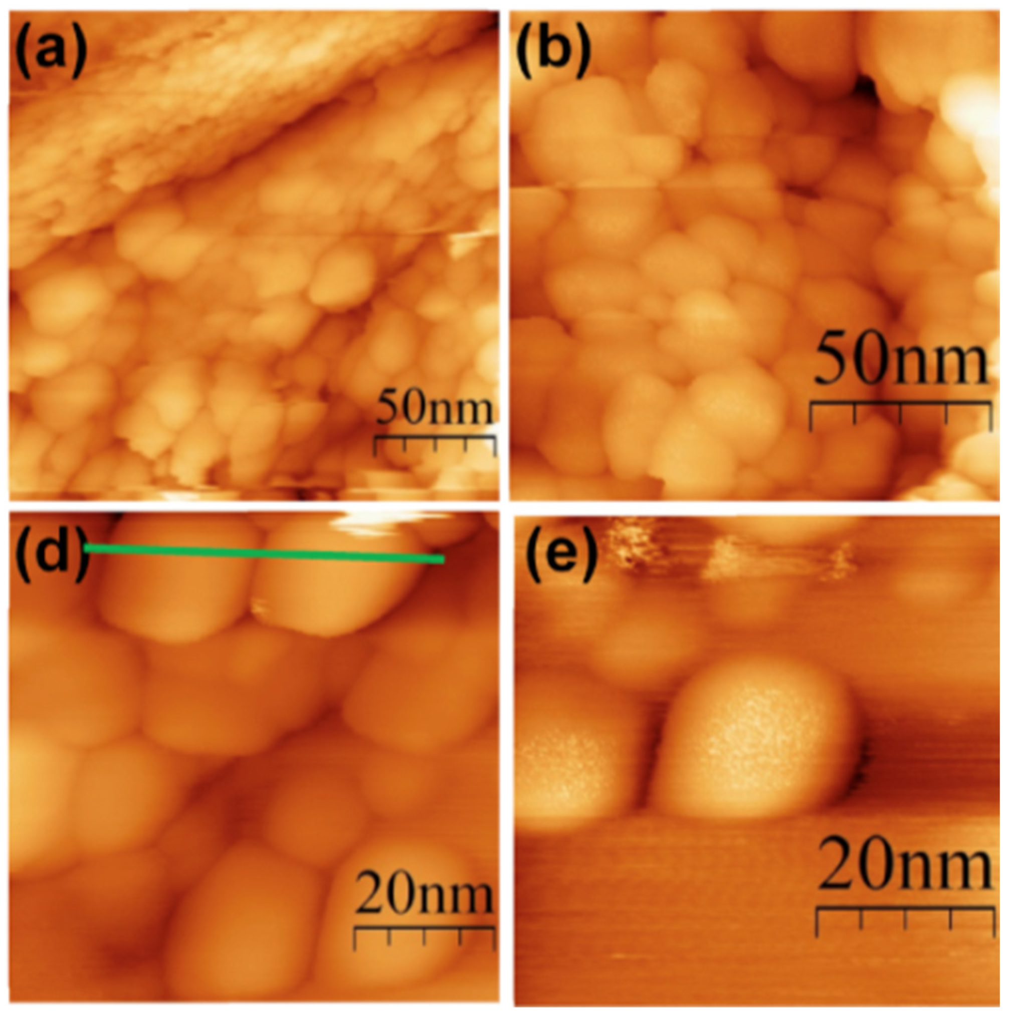 Pharmaceutics 17 00655 g020