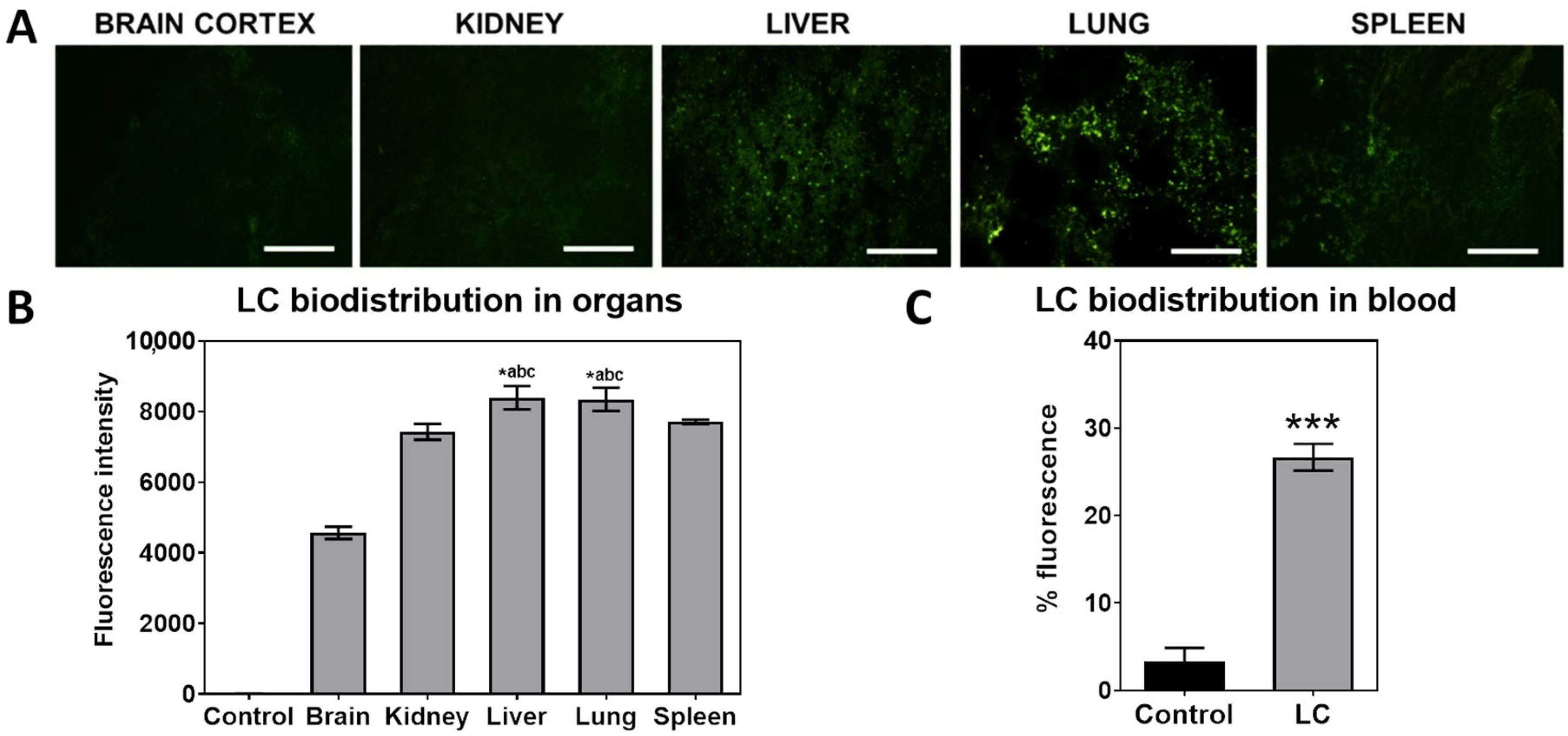 Pharmaceutics 17 00656 g002