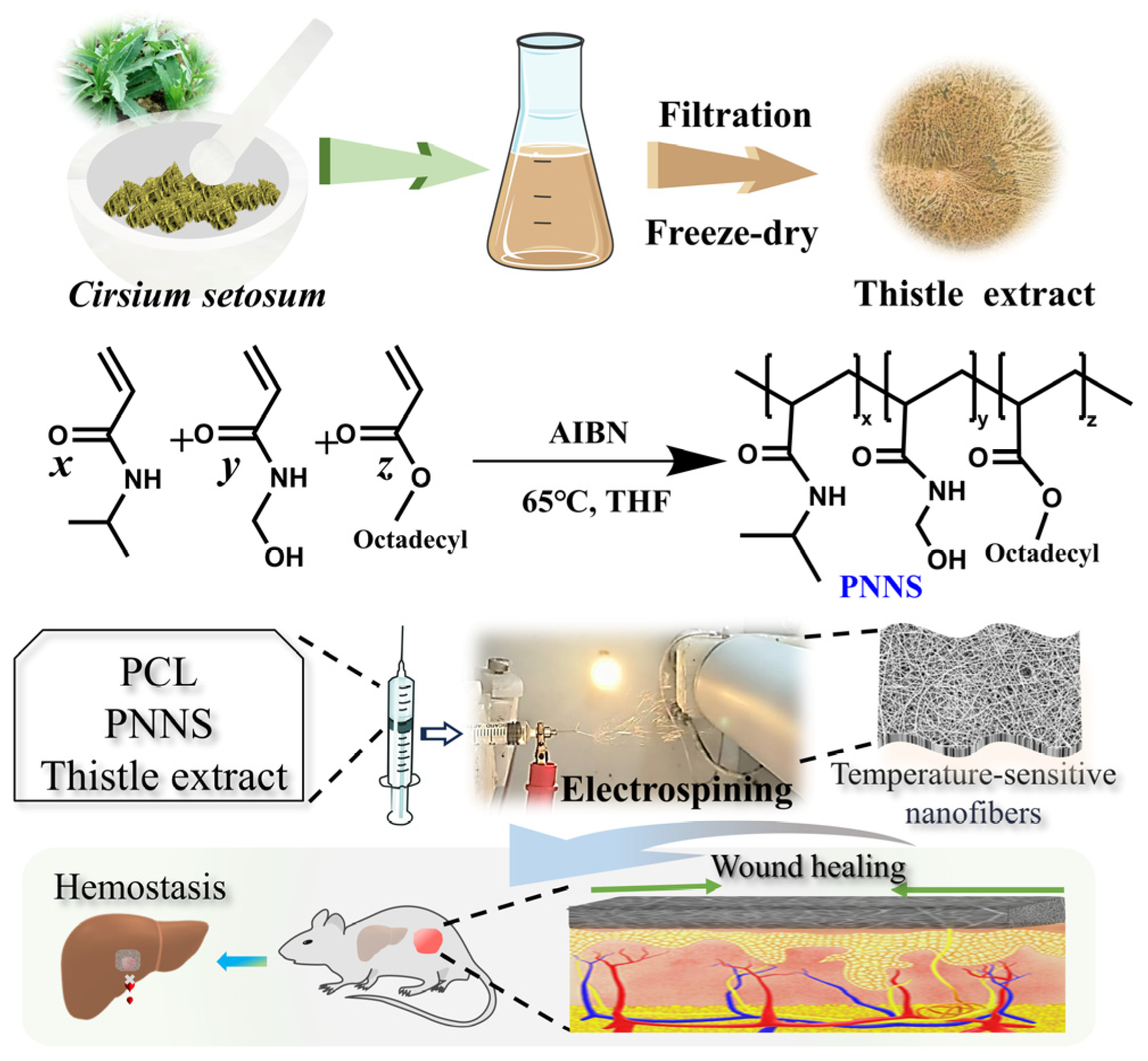 Pharmaceutics 17 00660 g001