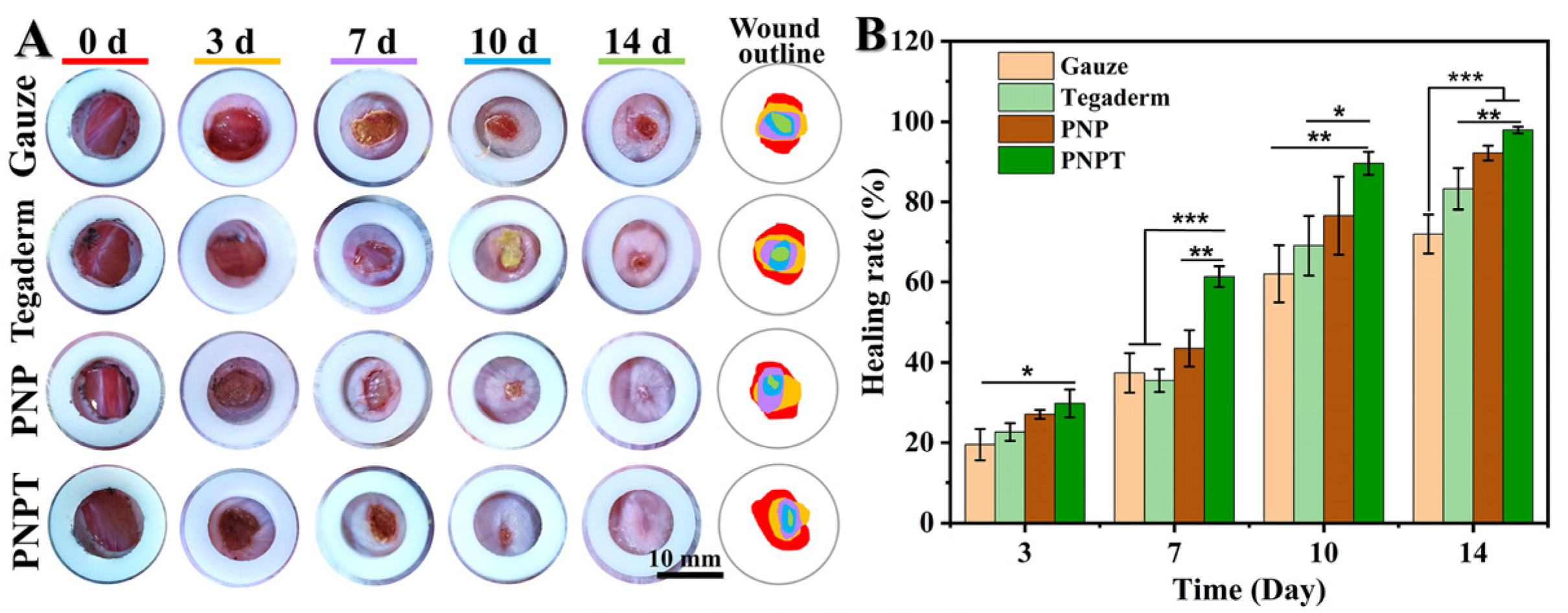 Pharmaceutics 17 00660 g007