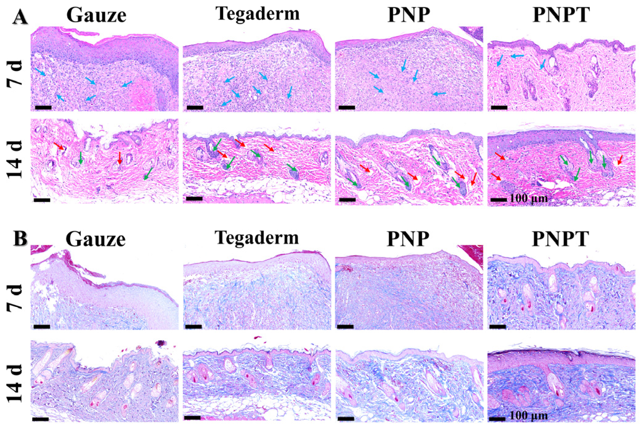Pharmaceutics 17 00660 g008