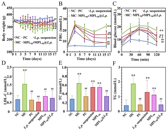 Engineering a Dual-Function Starch–Cellulose Composite for Colon