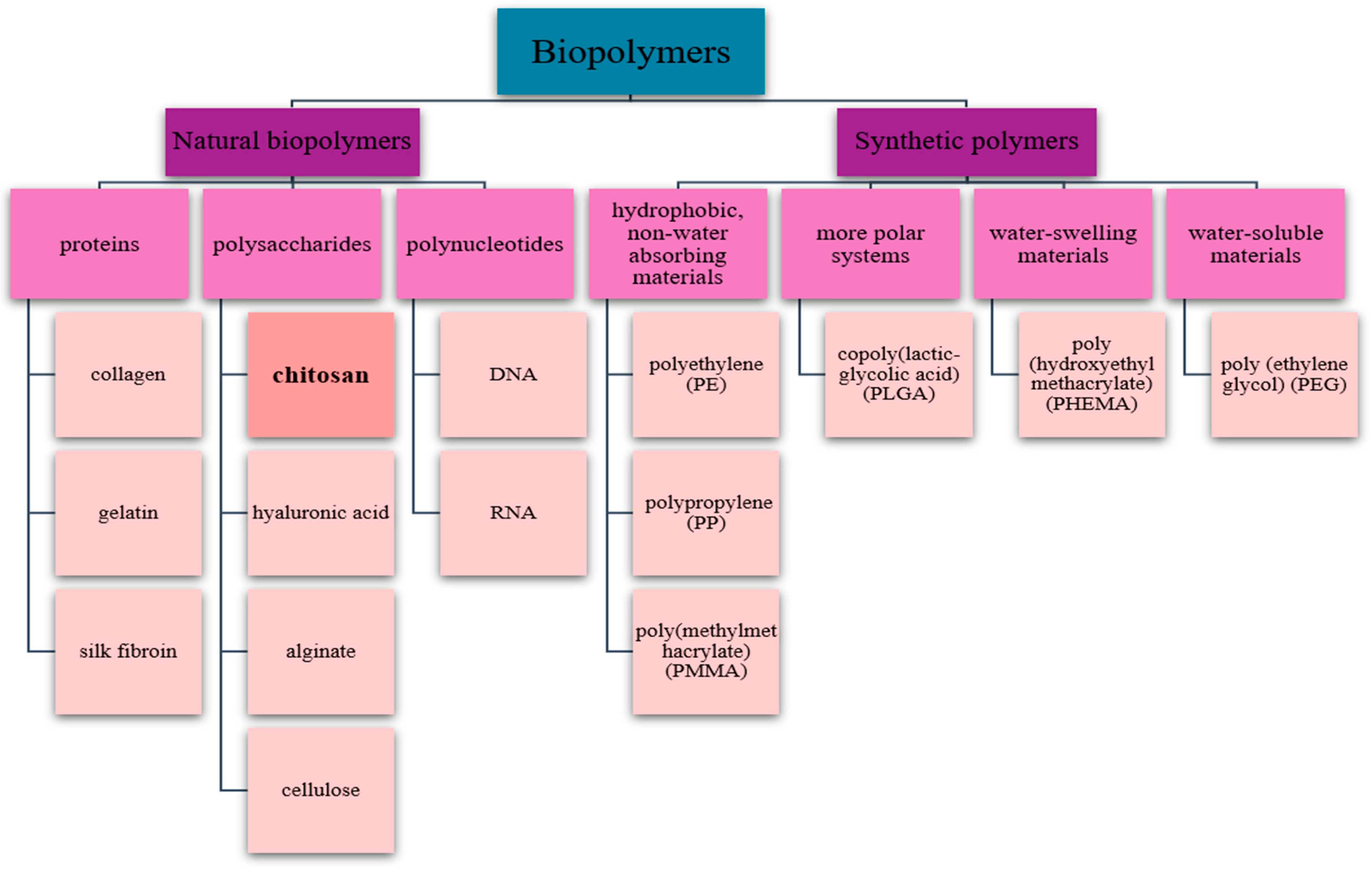 Pharmaceutics 17 00665 g001 Pharmaceutics 17 00665 g001