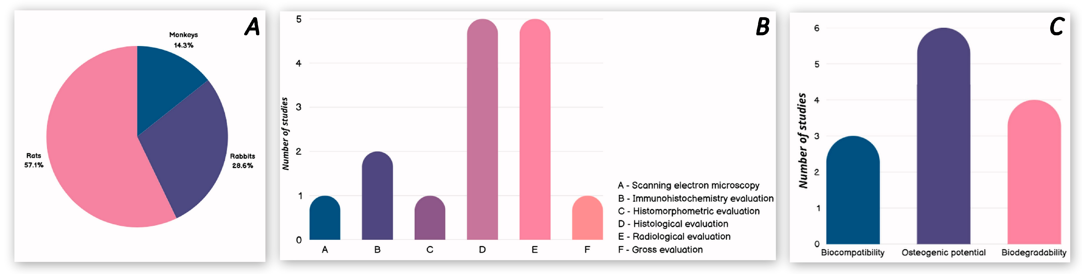 Pharmaceutics 17 00665 g006 Pharmaceutics 17 00665 g006