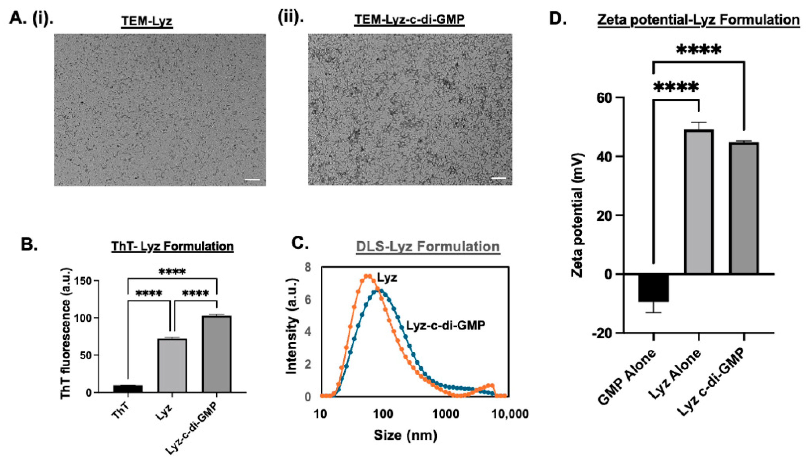 Pharmaceutics 17 00668 g002