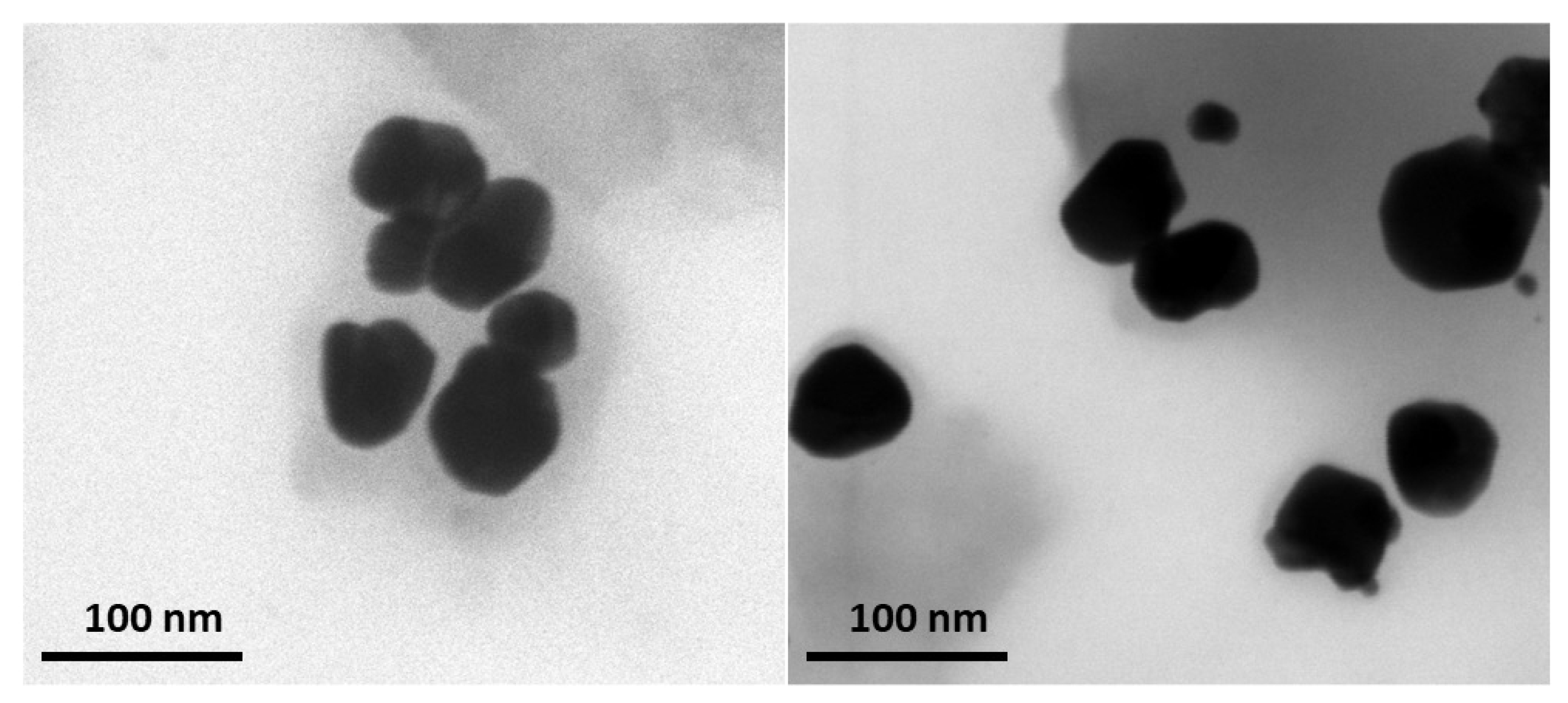 Pharmaceutics 17 00669 g005