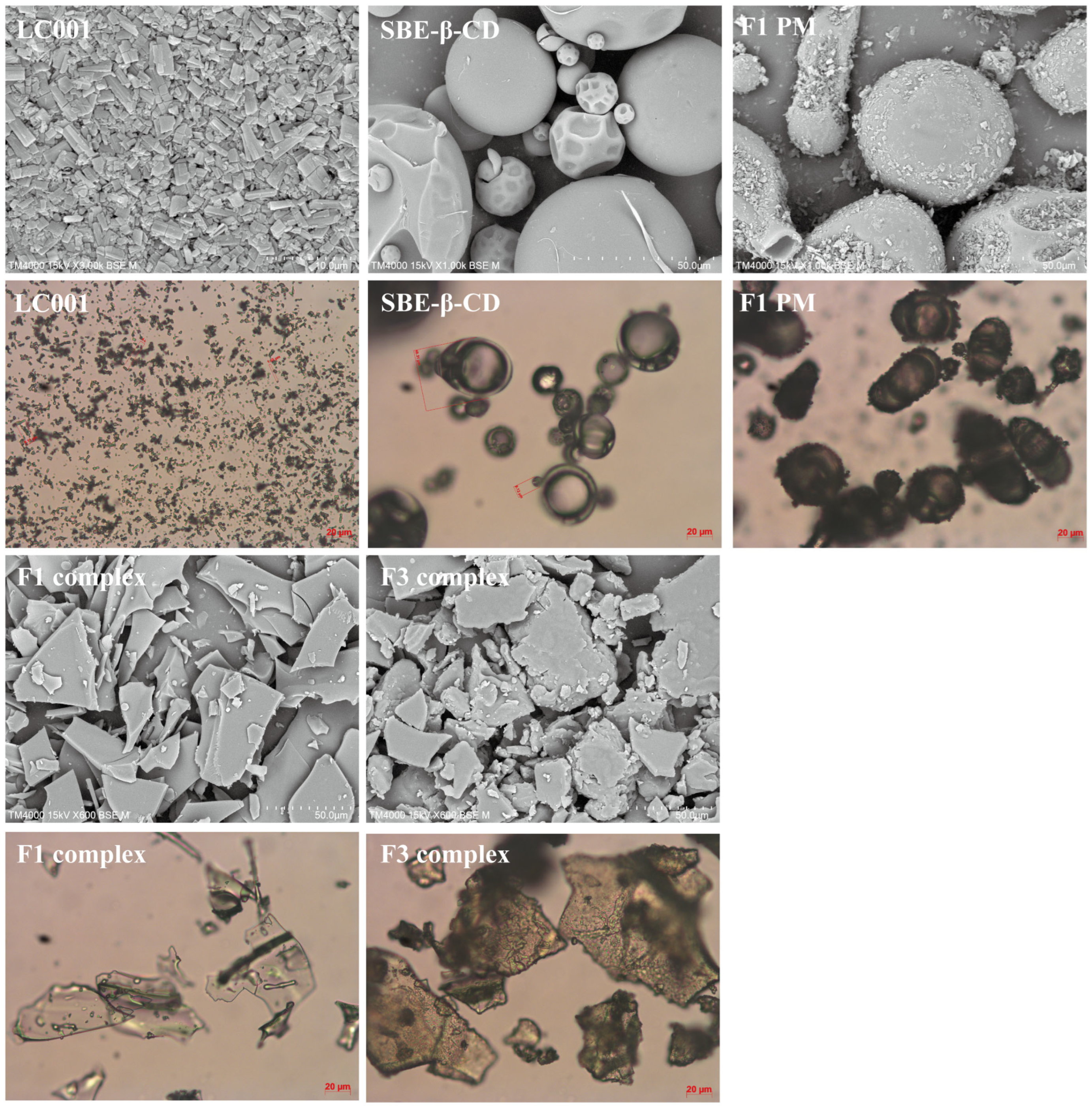 Pharmaceutics 17 00671 g008 Pharmaceutics 17 00671 g008