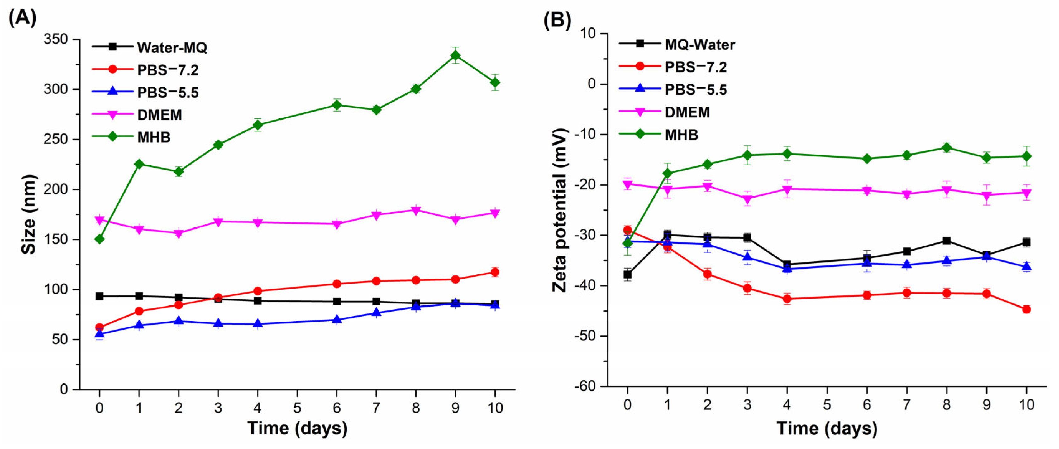Pharmaceutics 17 00672 g007