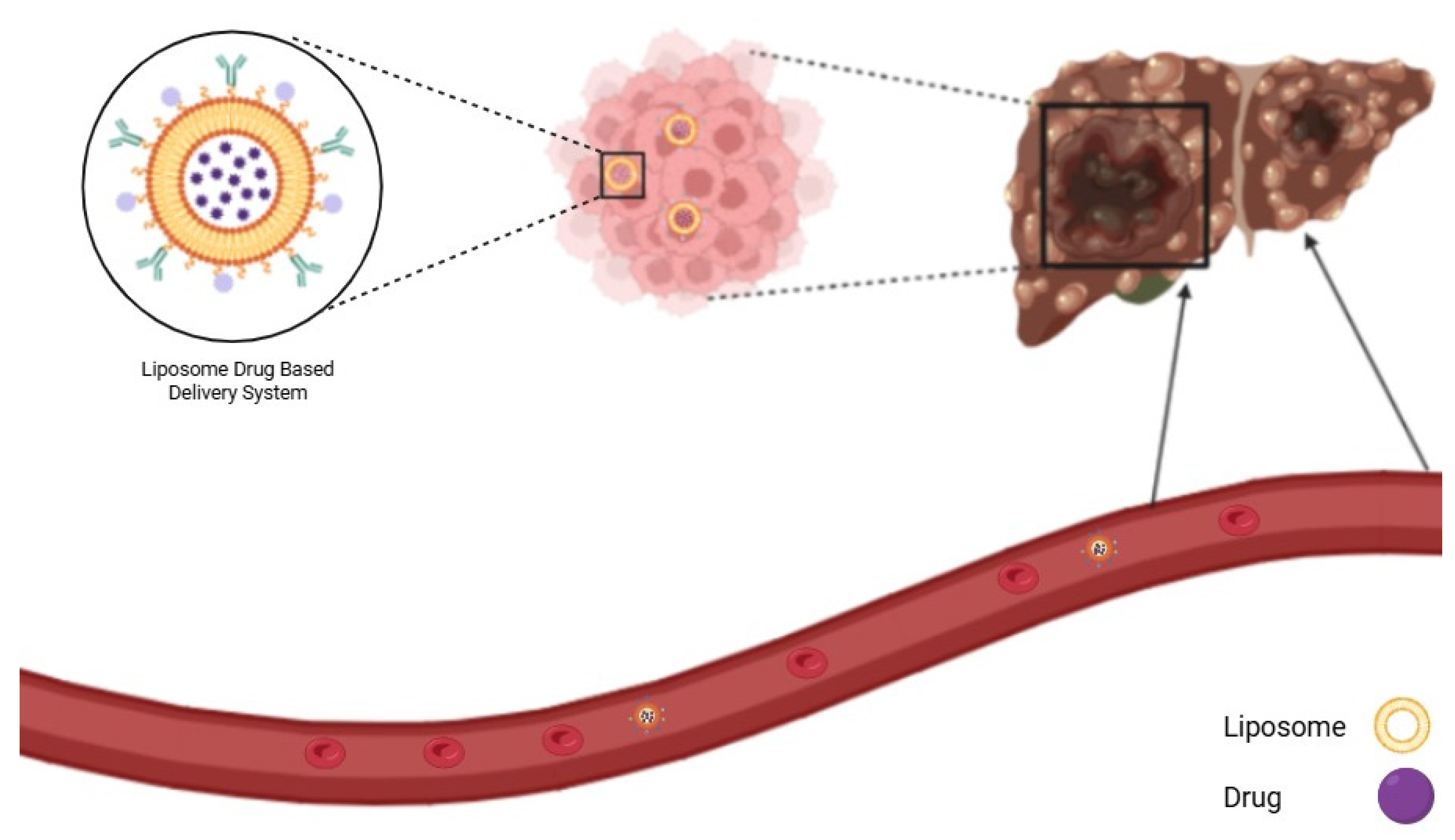 Pharmaceutics 17 00673 g004 Pharmaceutics 17 00673 g004
