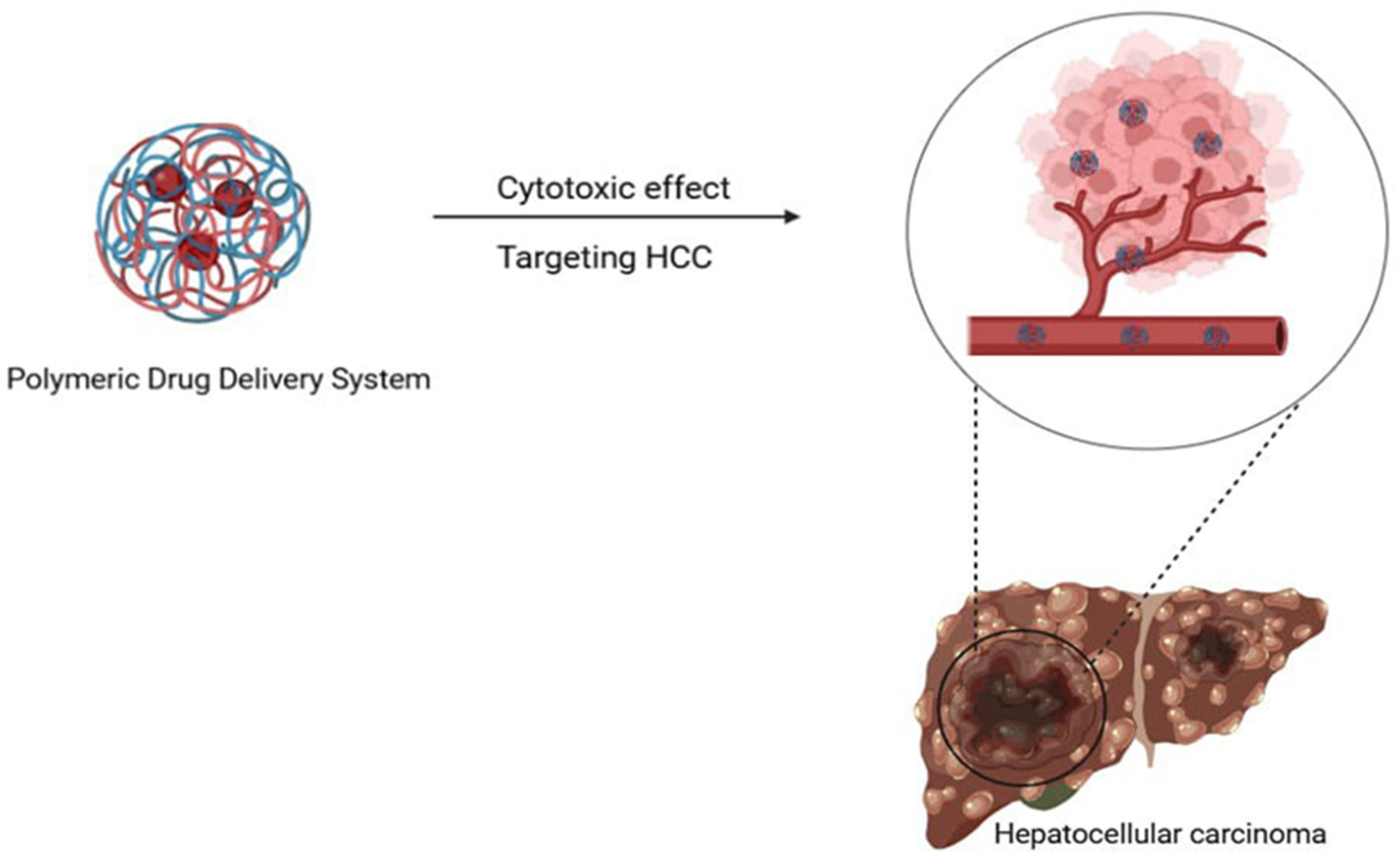 Pharmaceutics 17 00673 g005 Pharmaceutics 17 00673 g005