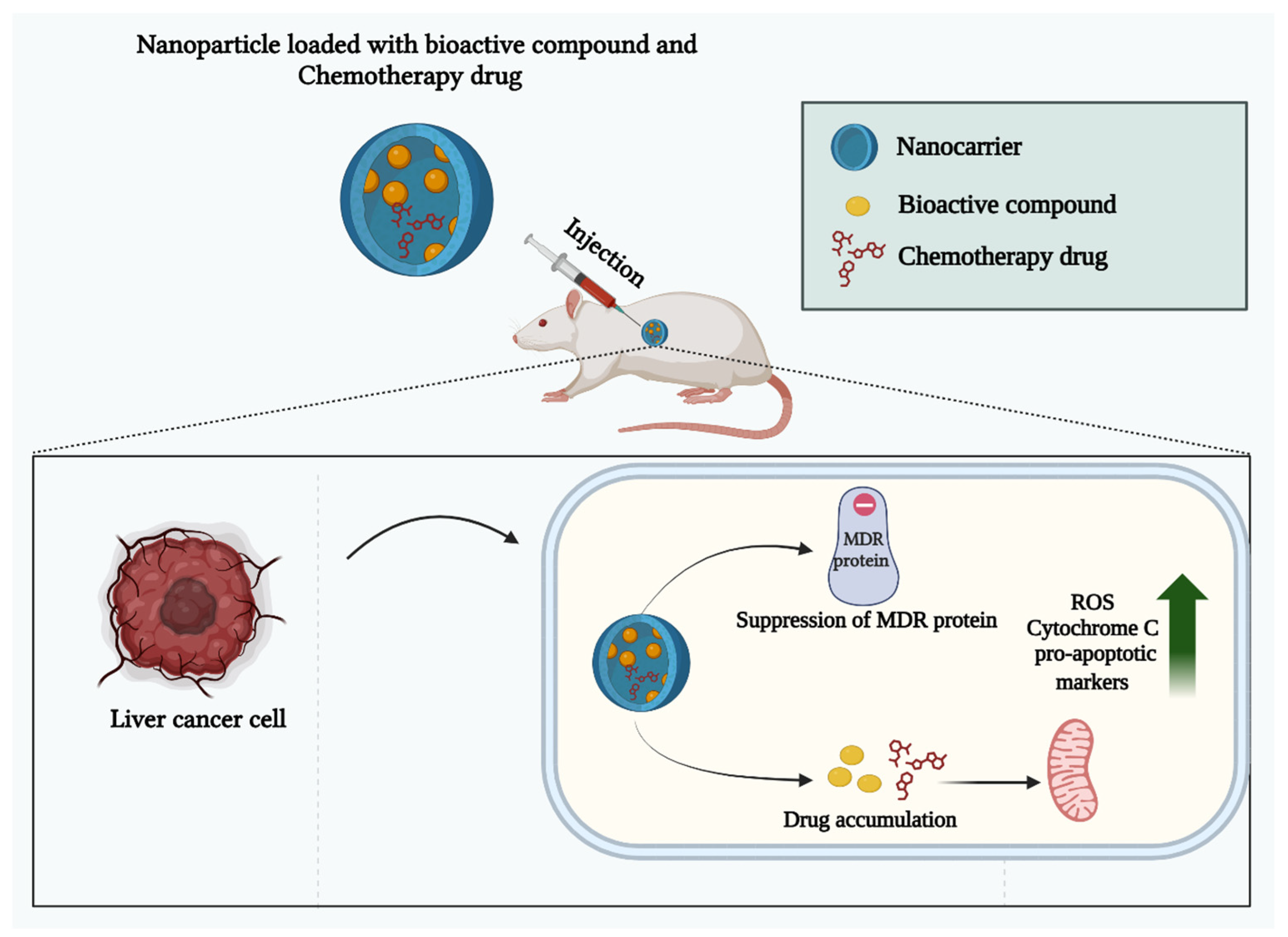 Pharmaceutics 17 00673 g006 Pharmaceutics 17 00673 g006