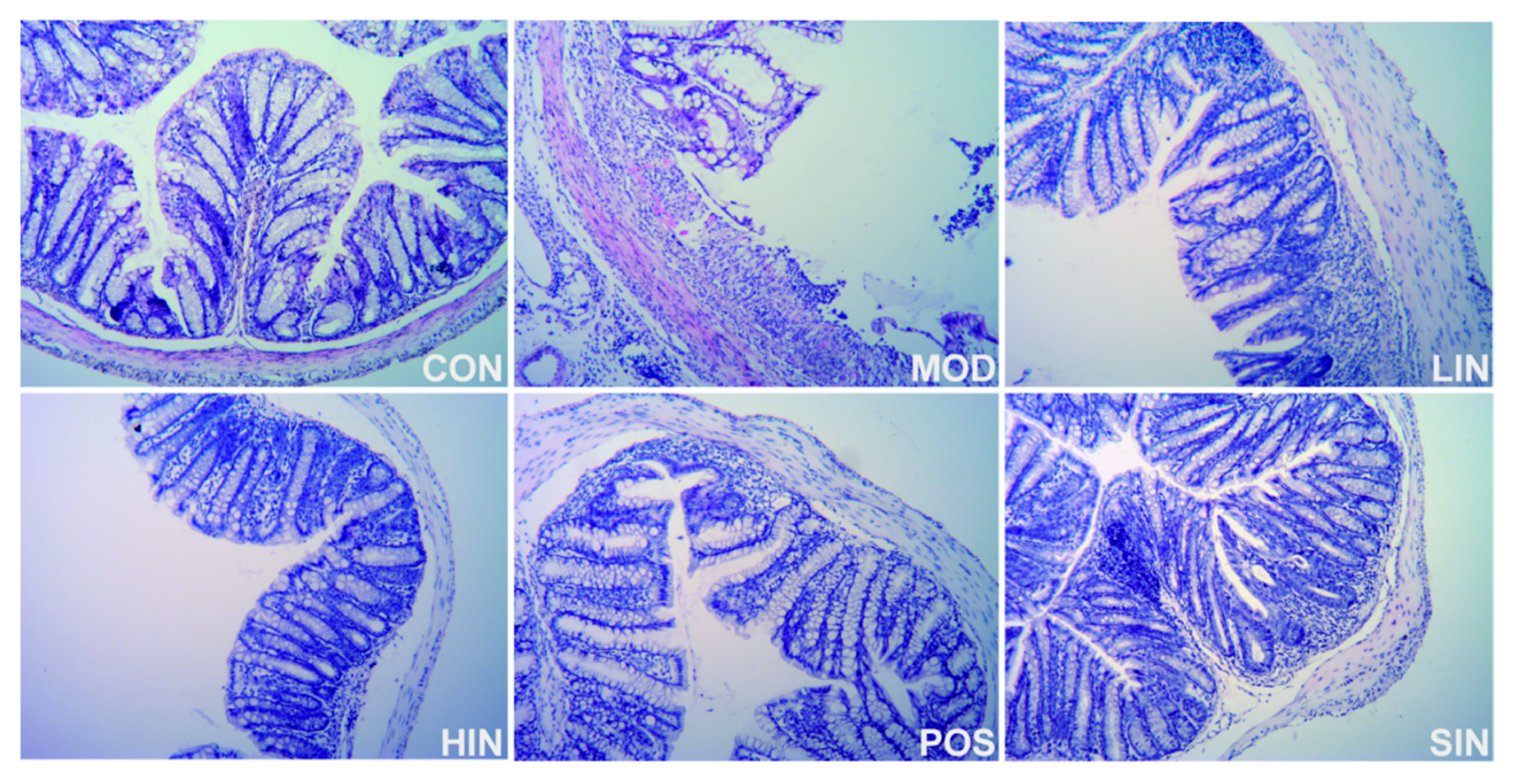 Pharmaceutics 17 00674 g005