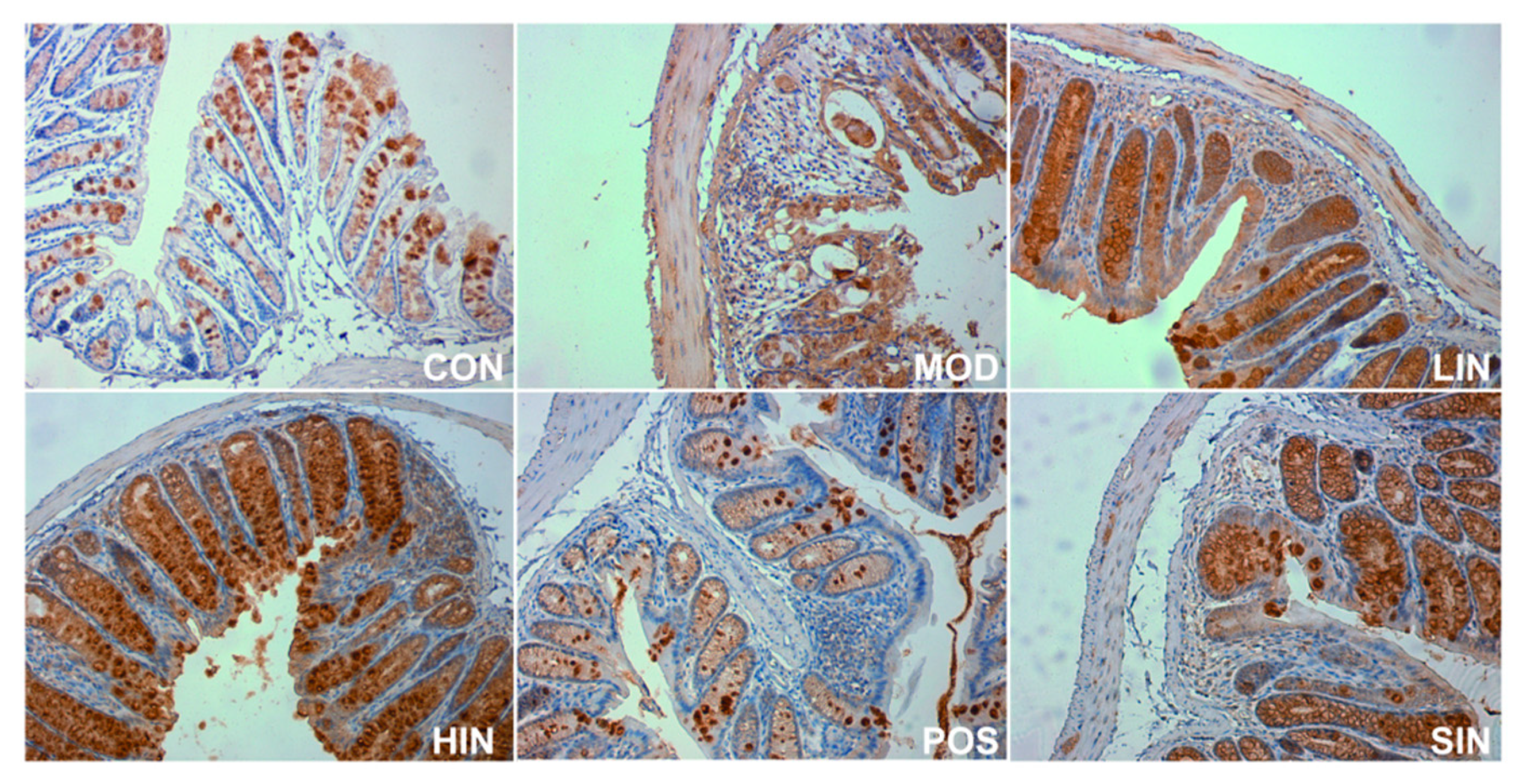 Pharmaceutics 17 00674 g008