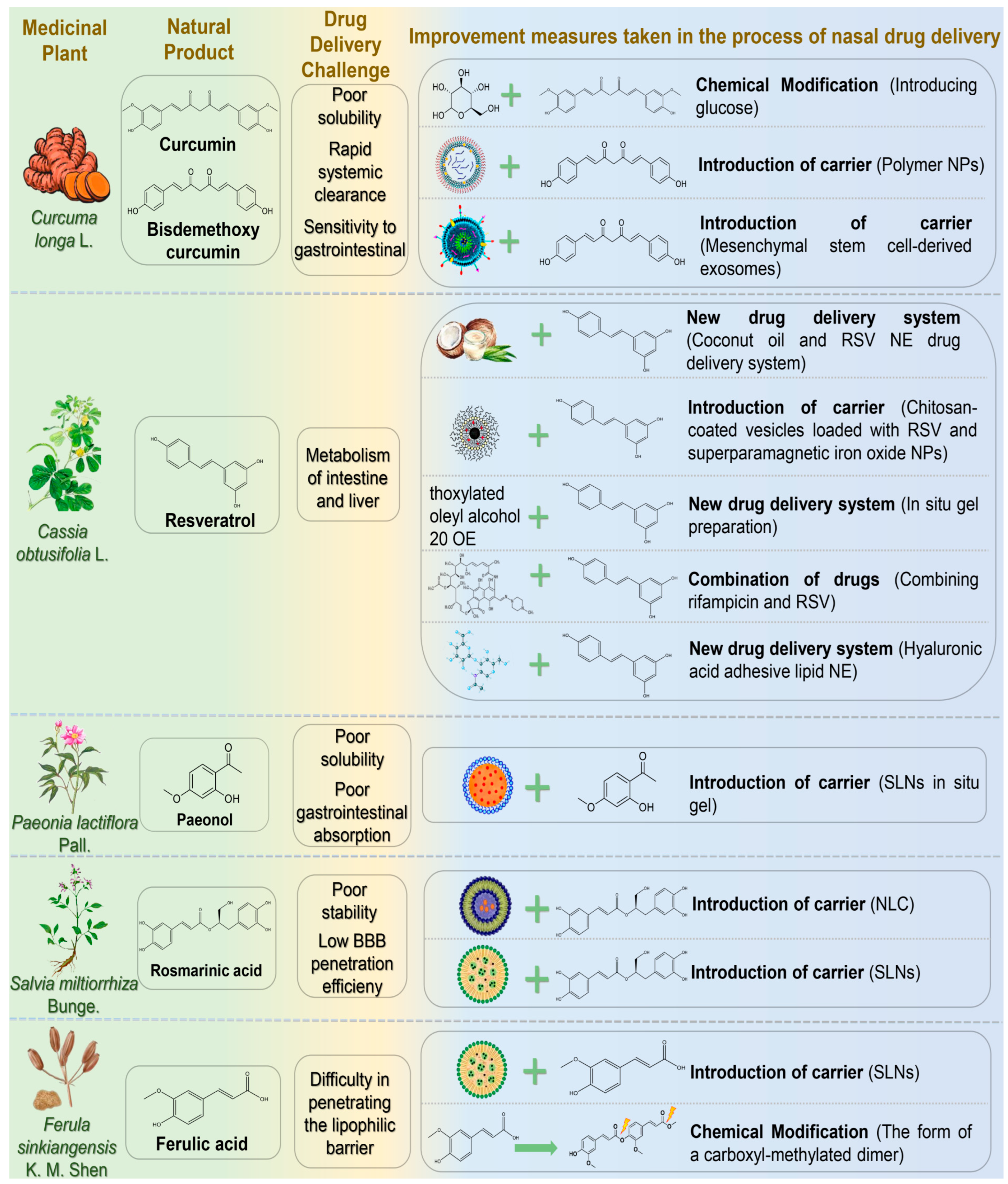 Pharmaceutics 17 00675 g002