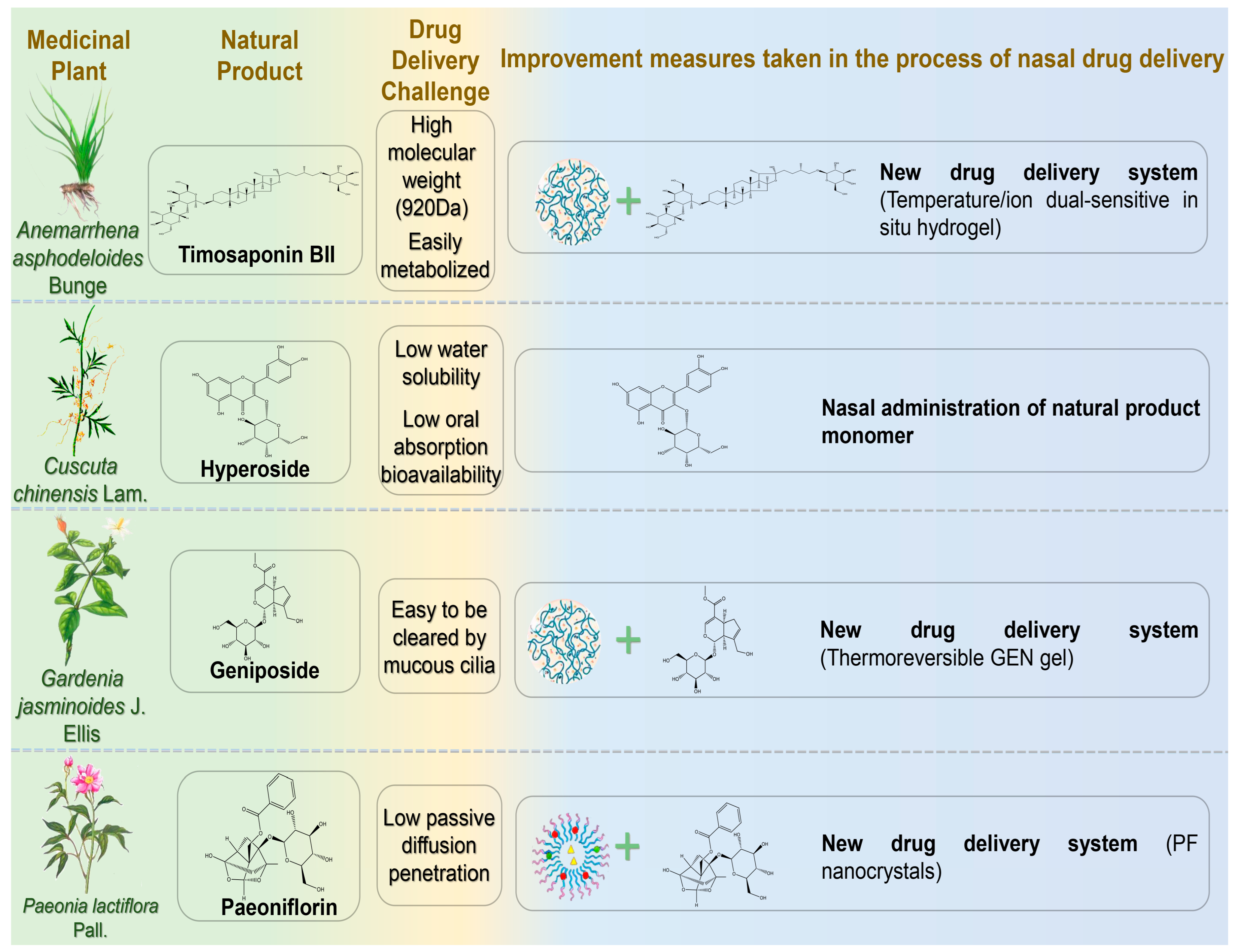 Pharmaceutics 17 00675 g003