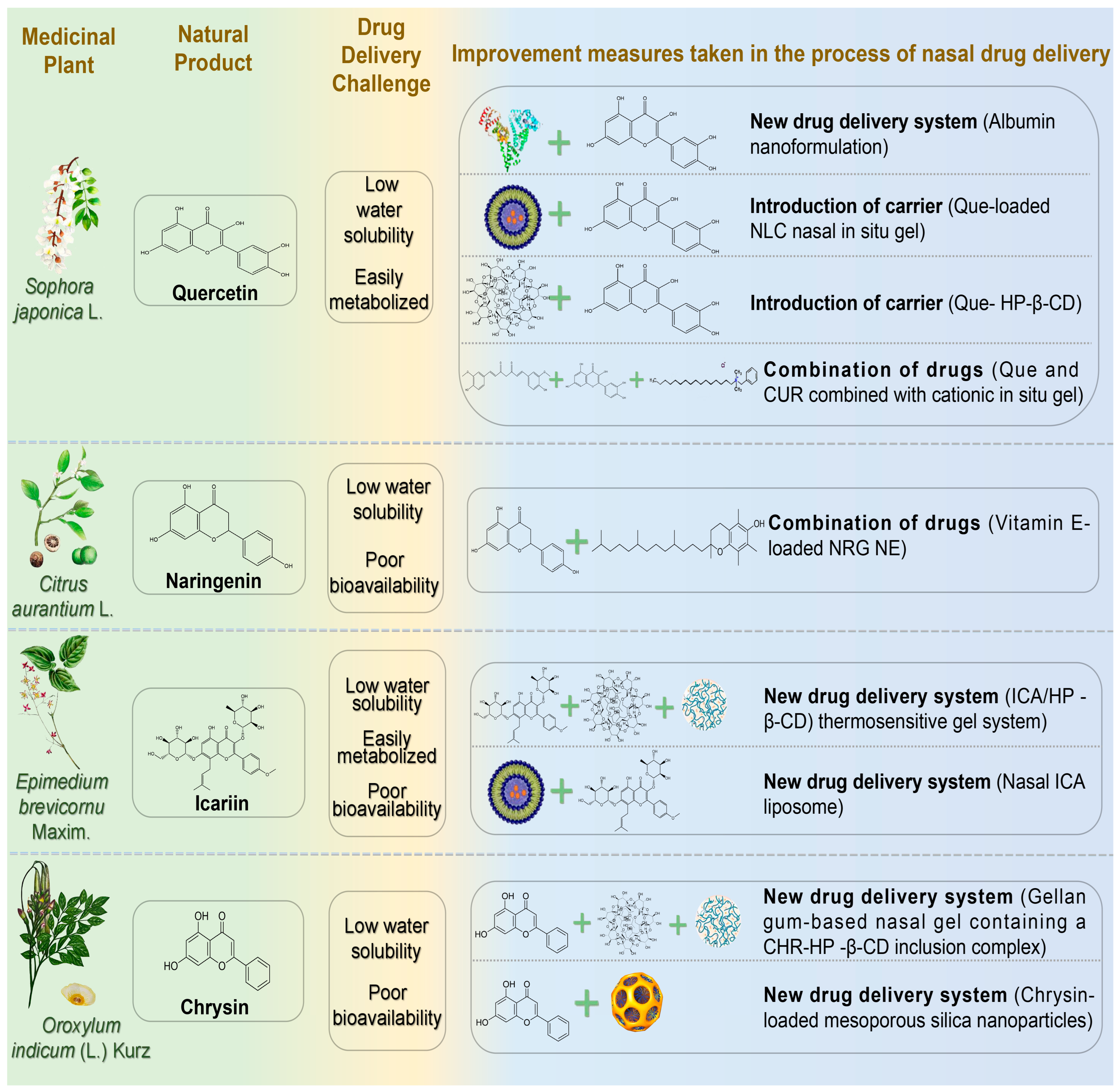 Pharmaceutics 17 00675 g004