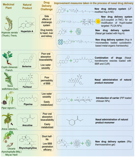 Application of Natural Products in Neurodegenerative Diseases by ...