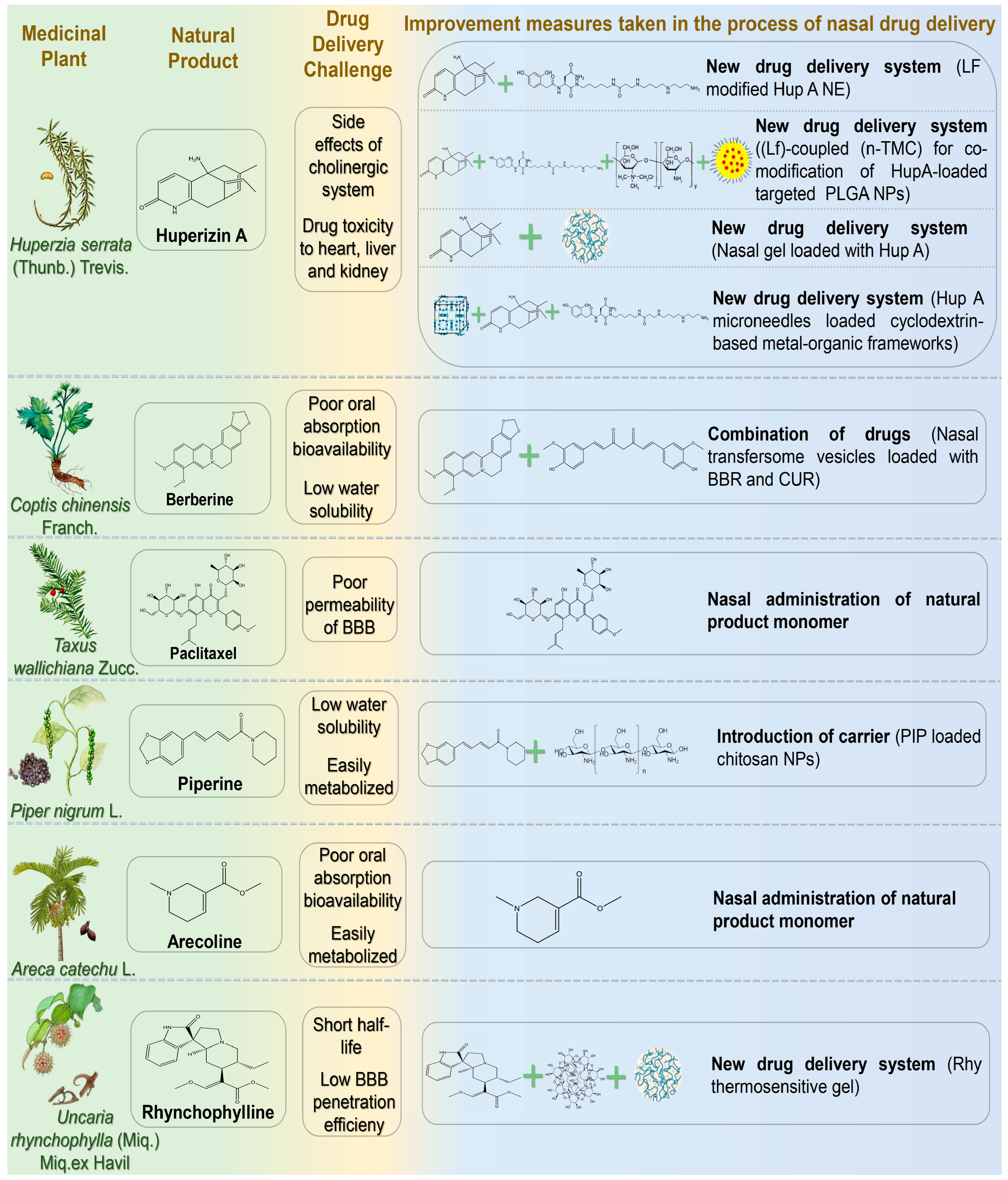Pharmaceutics 17 00675 g005