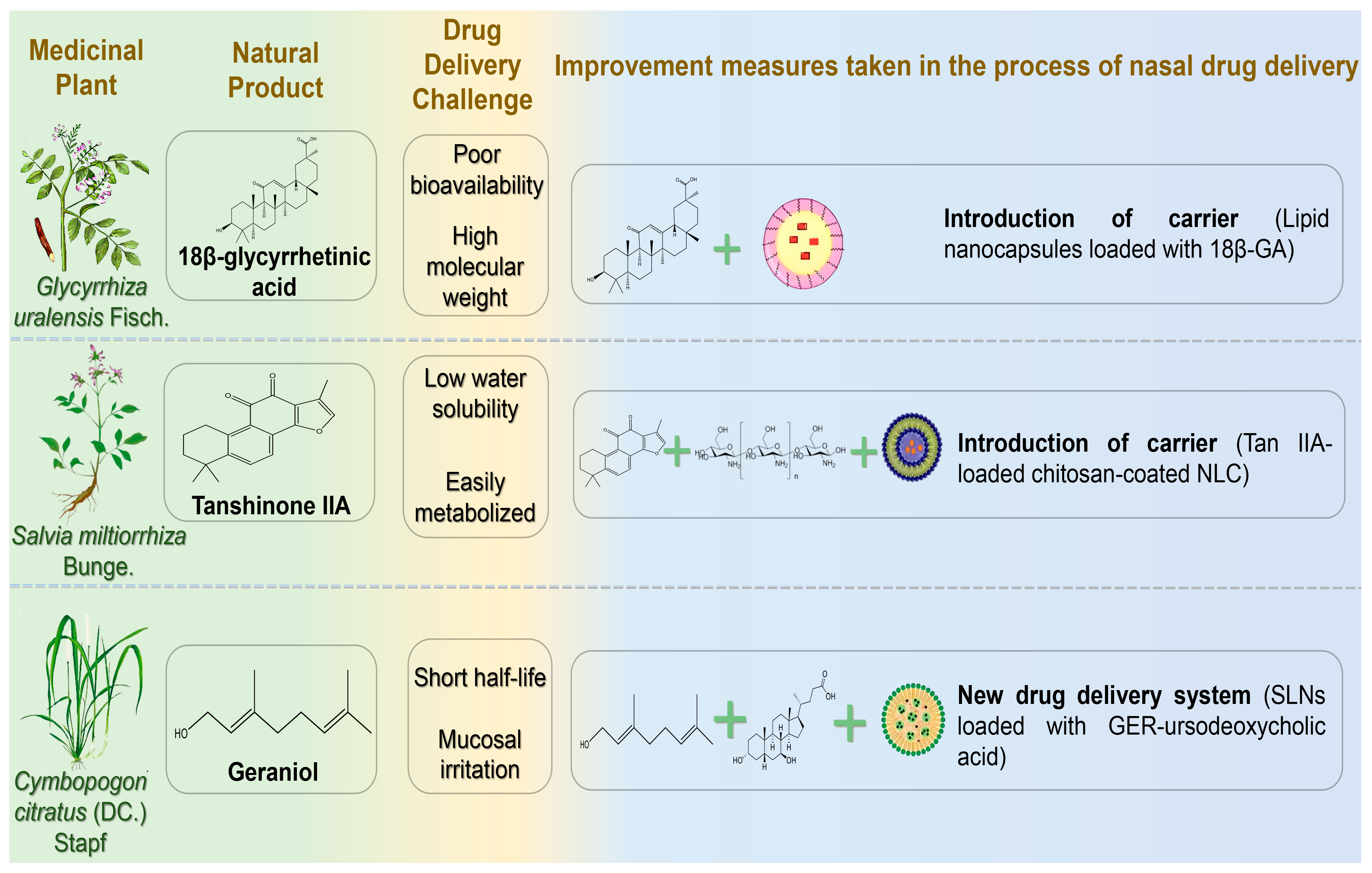 Pharmaceutics 17 00675 g006