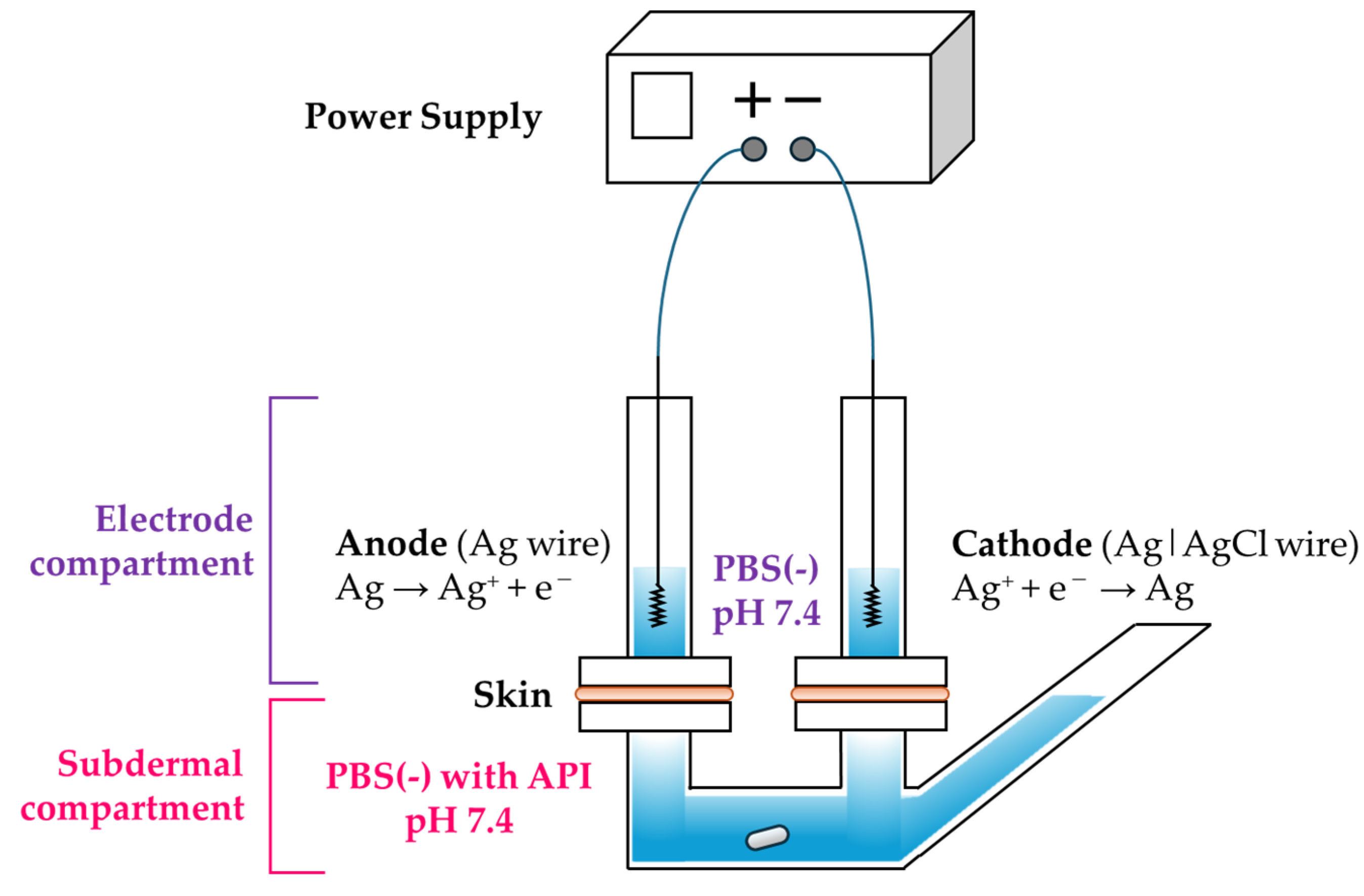 Pharmaceutics 17 00677 g003