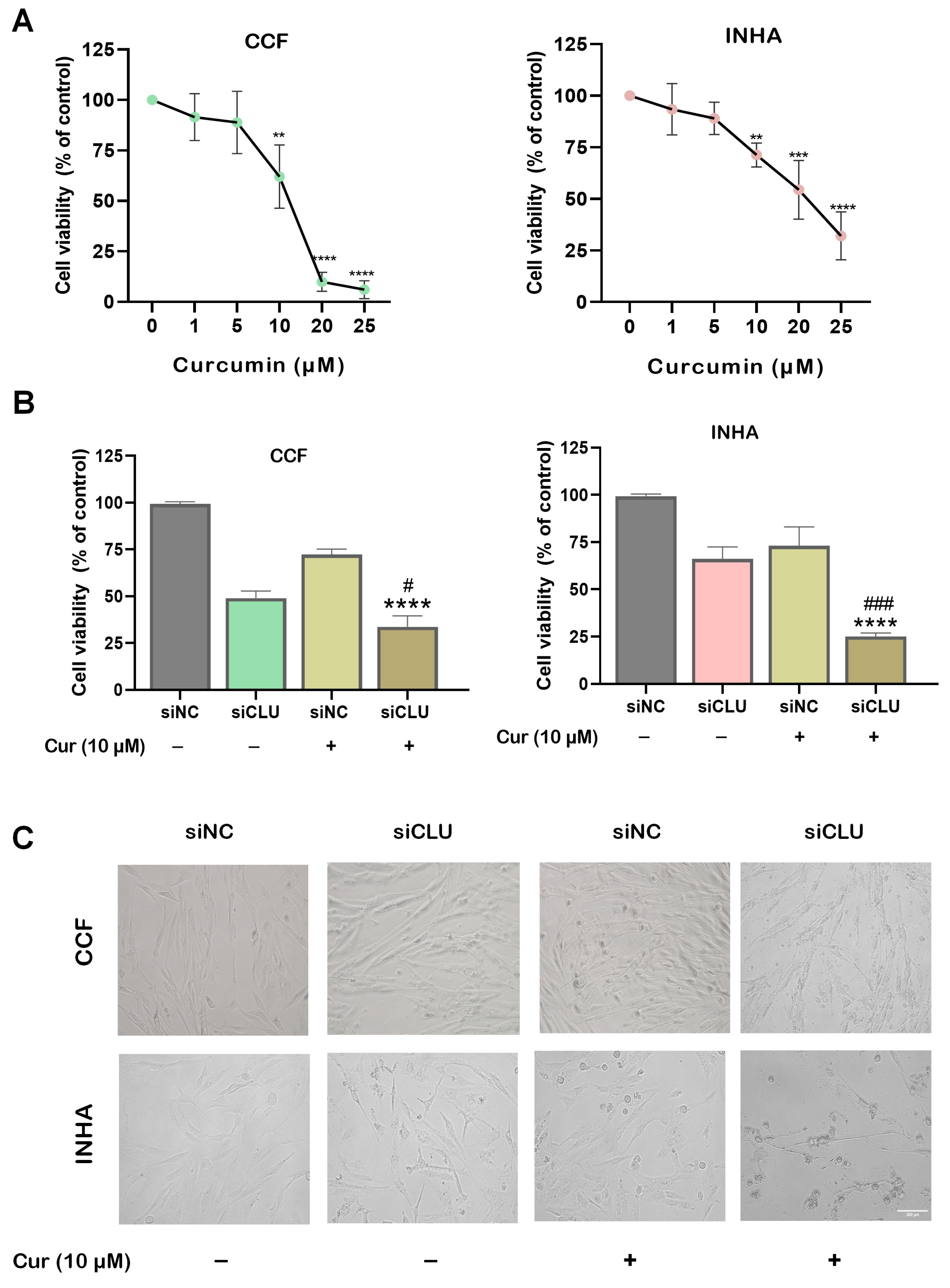 Pharmaceutics 17 00679 g001