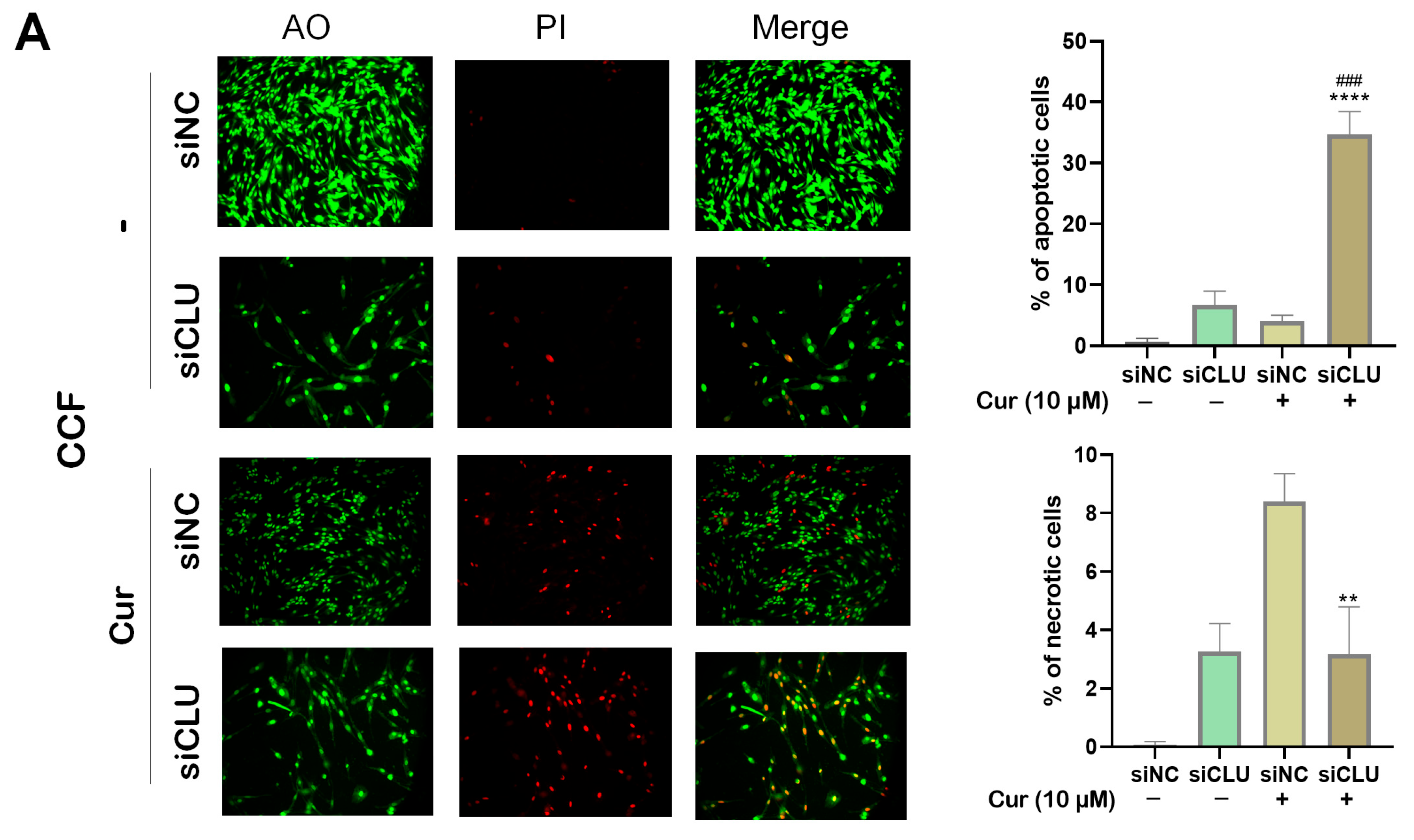 Pharmaceutics 17 00679 g003a