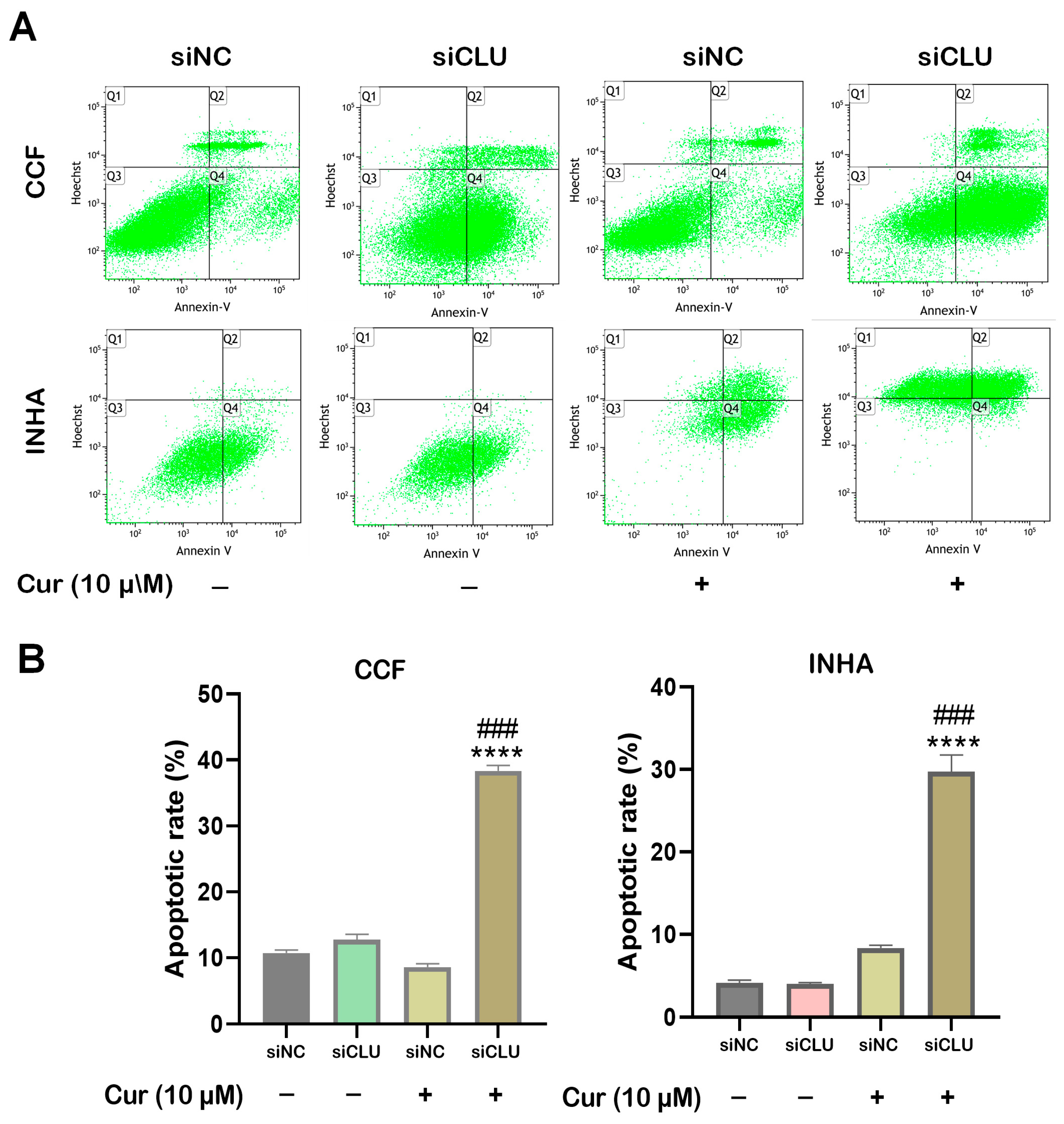 Pharmaceutics 17 00679 g004