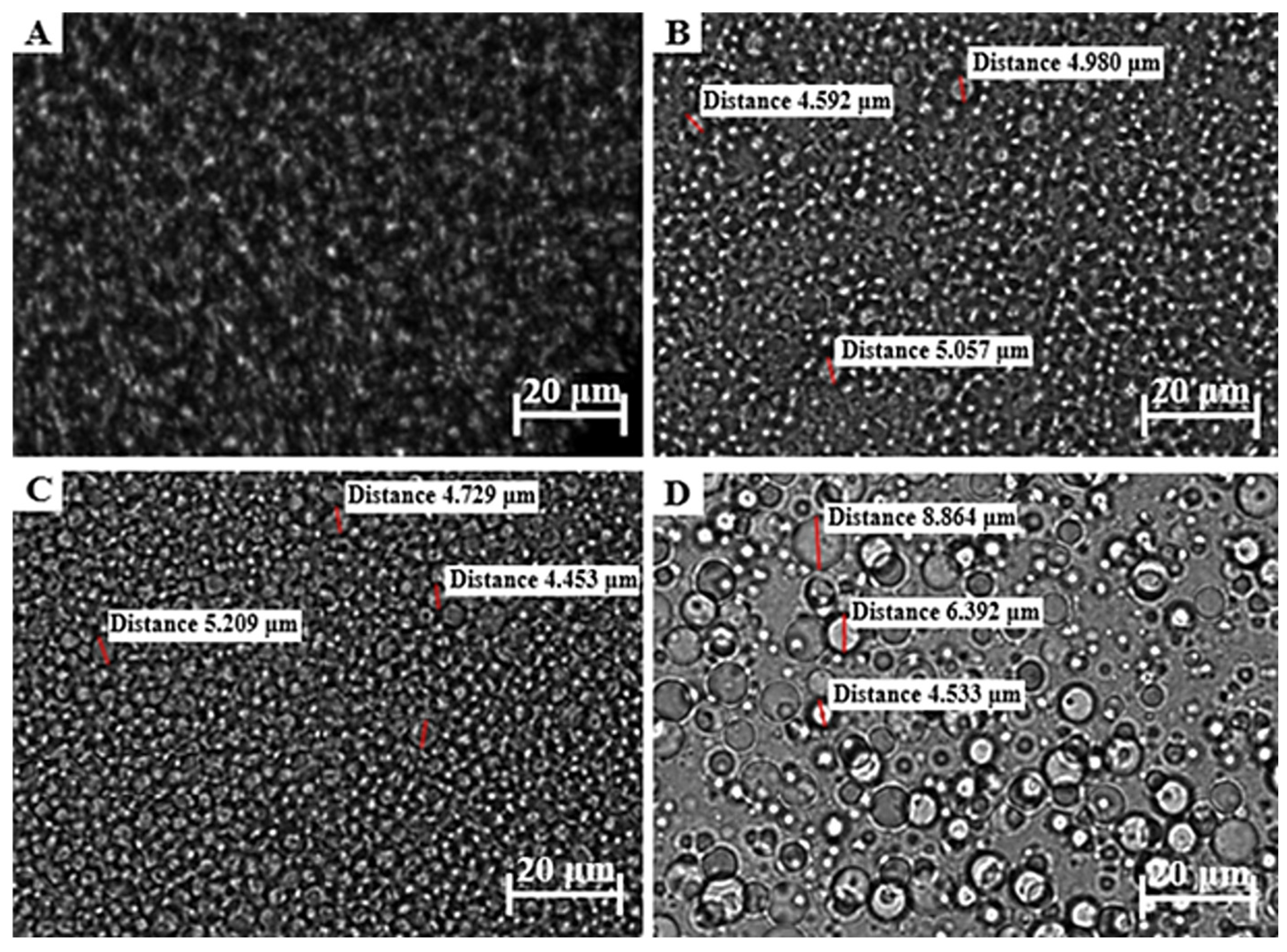Pharmaceutics 17 00680 g003 Pharmaceutics 17 00680 g003