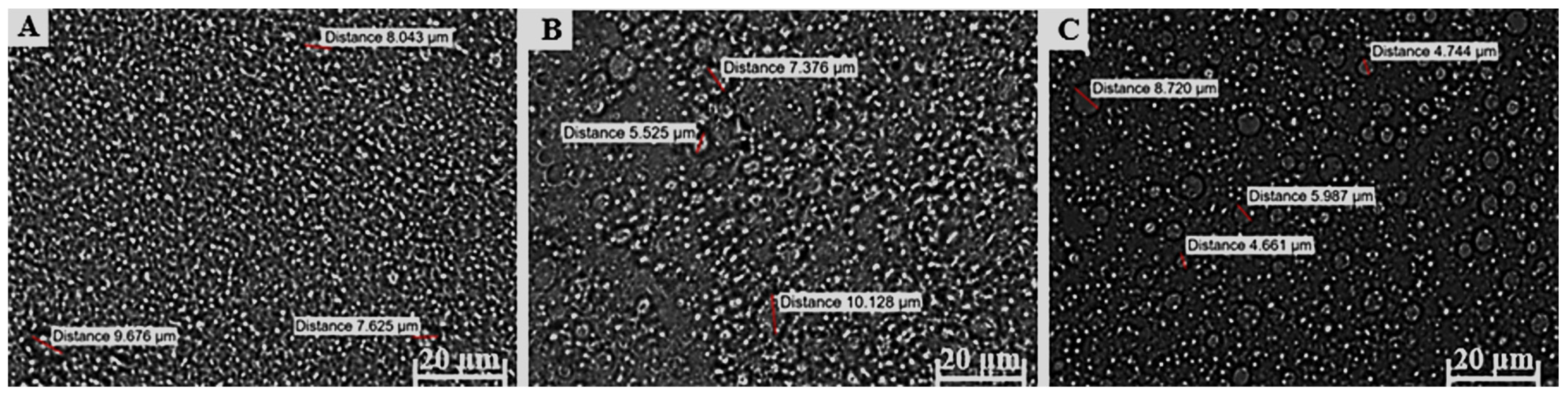 Pharmaceutics 17 00680 g005 Pharmaceutics 17 00680 g005