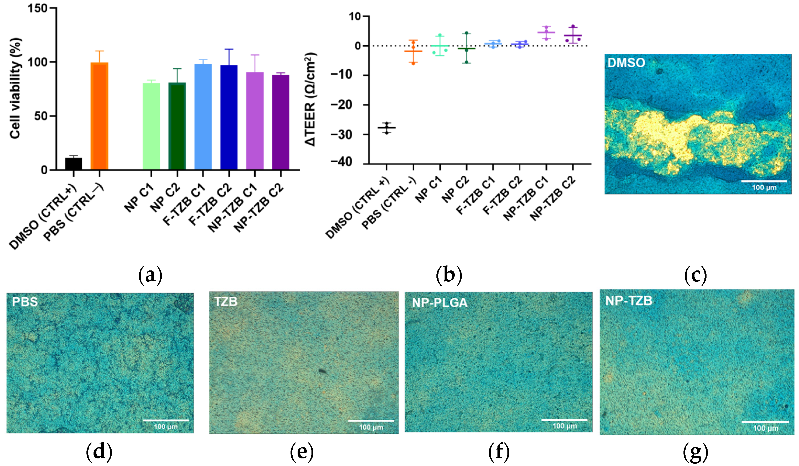 Pharmaceutics 17 00681 g004