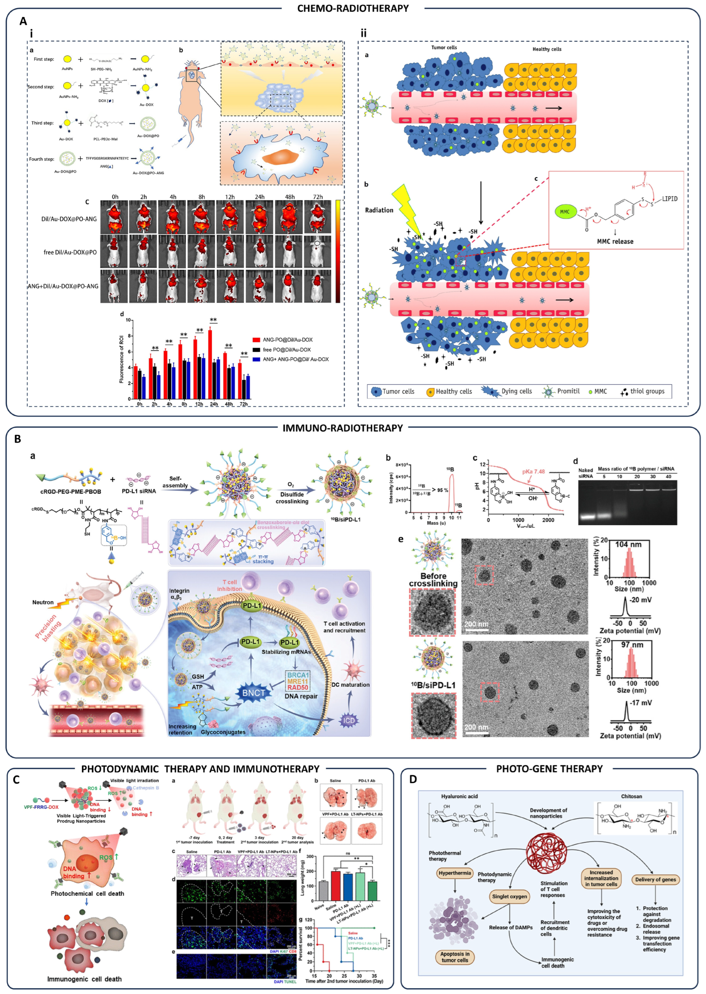 Pharmaceutics 17 00682 g004