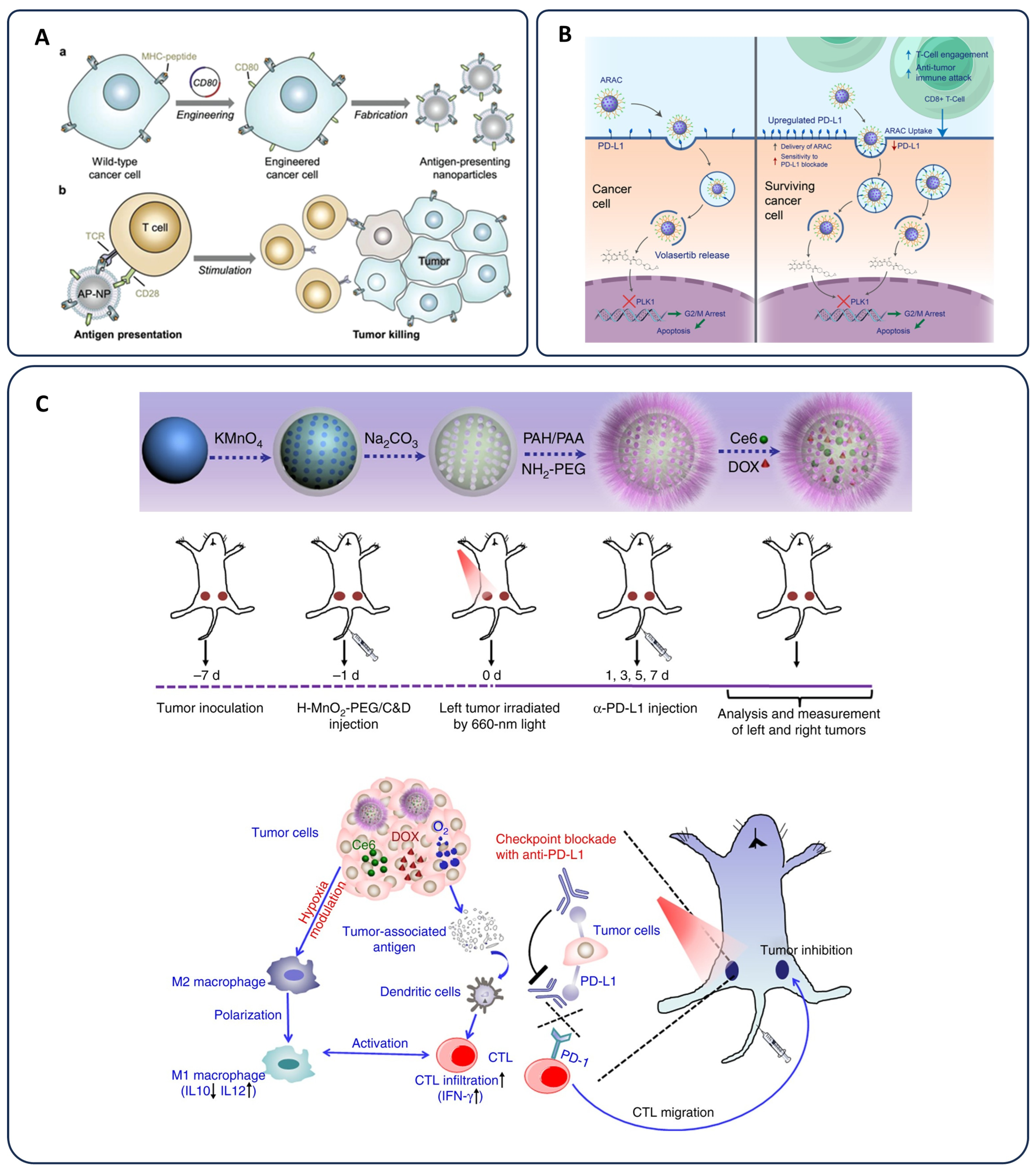 Pharmaceutics 17 00682 g005
