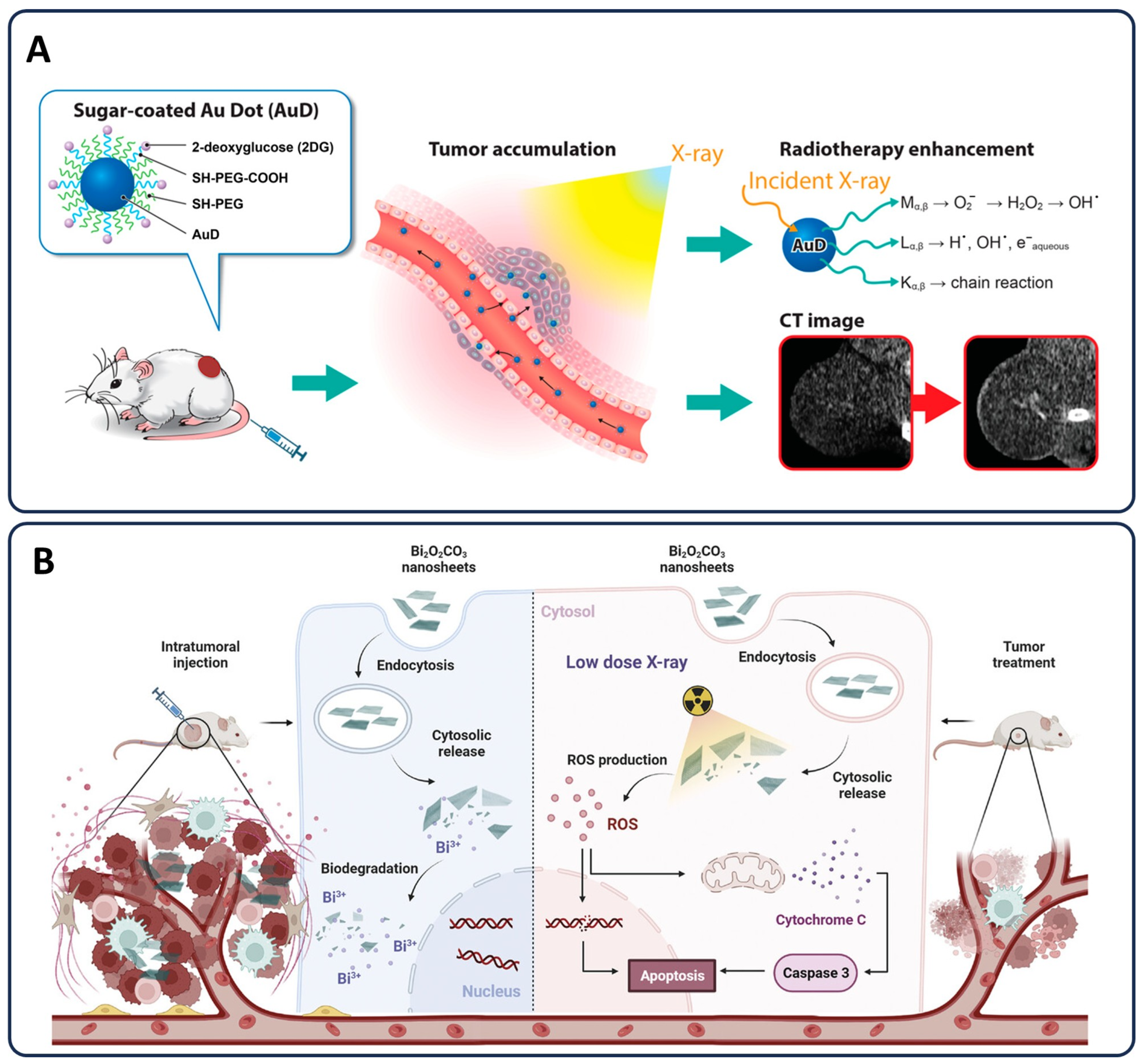 Pharmaceutics 17 00682 g006