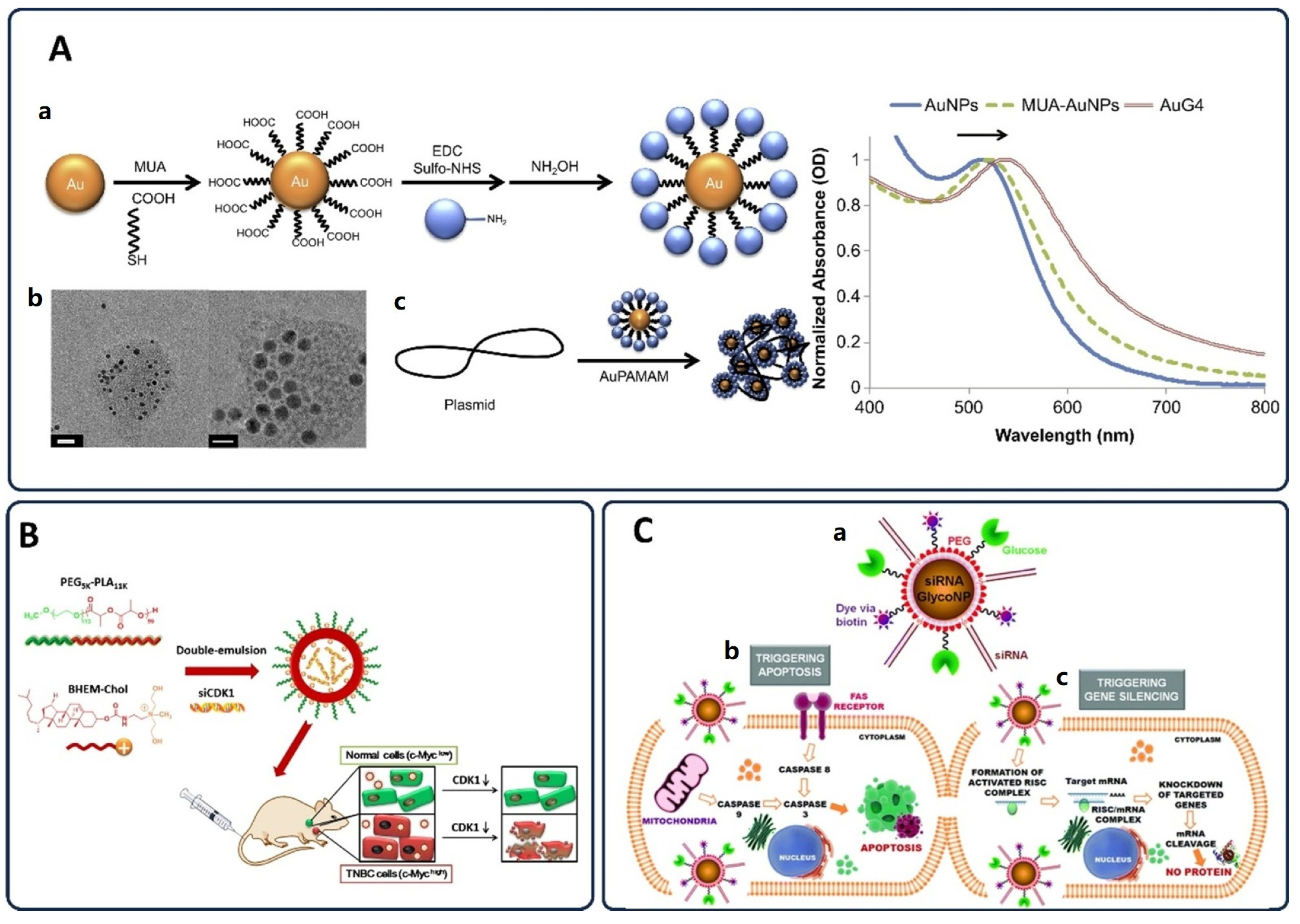 Pharmaceutics 17 00682 g007