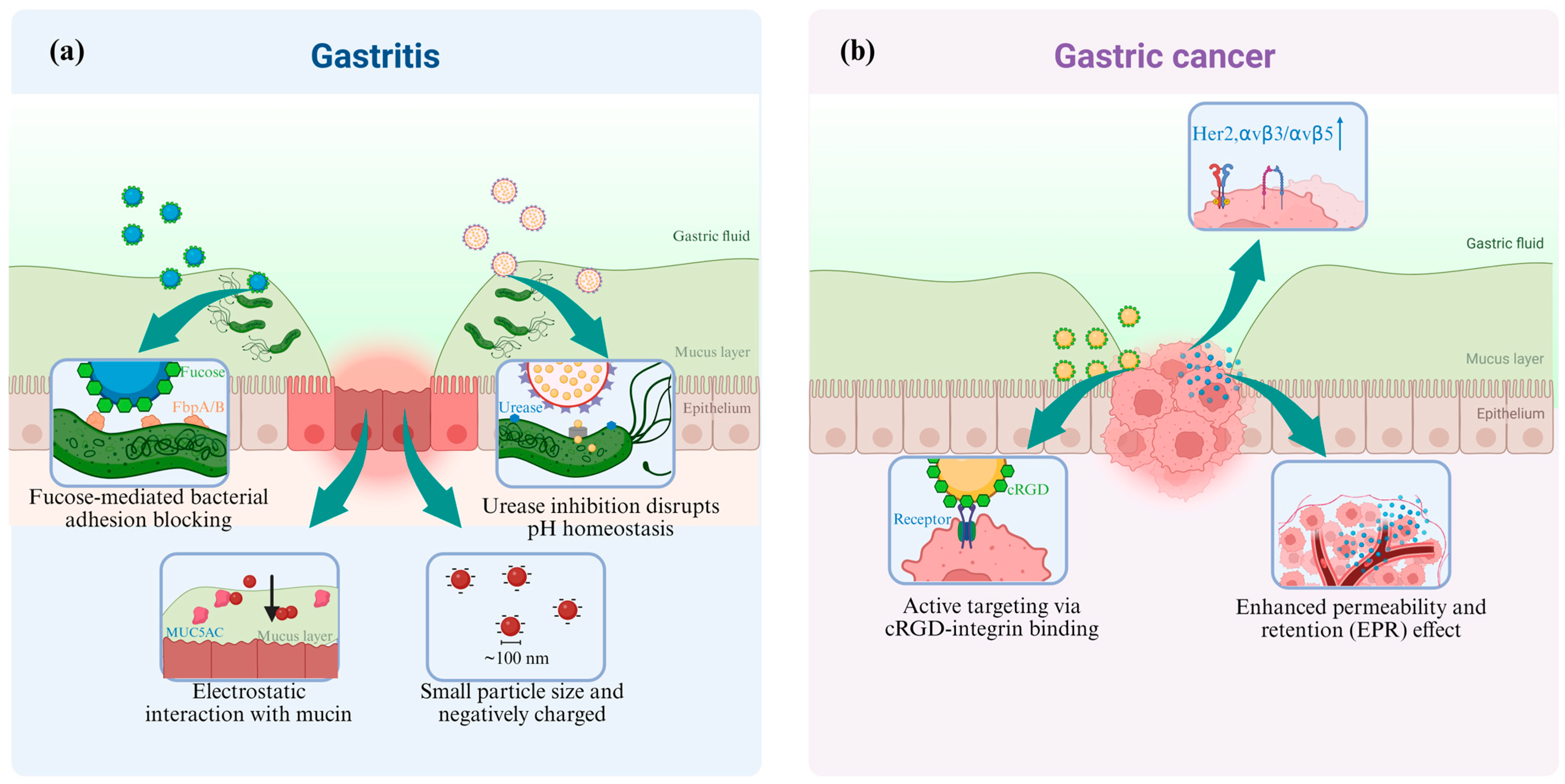 Pharmaceutics 17 00683 g002