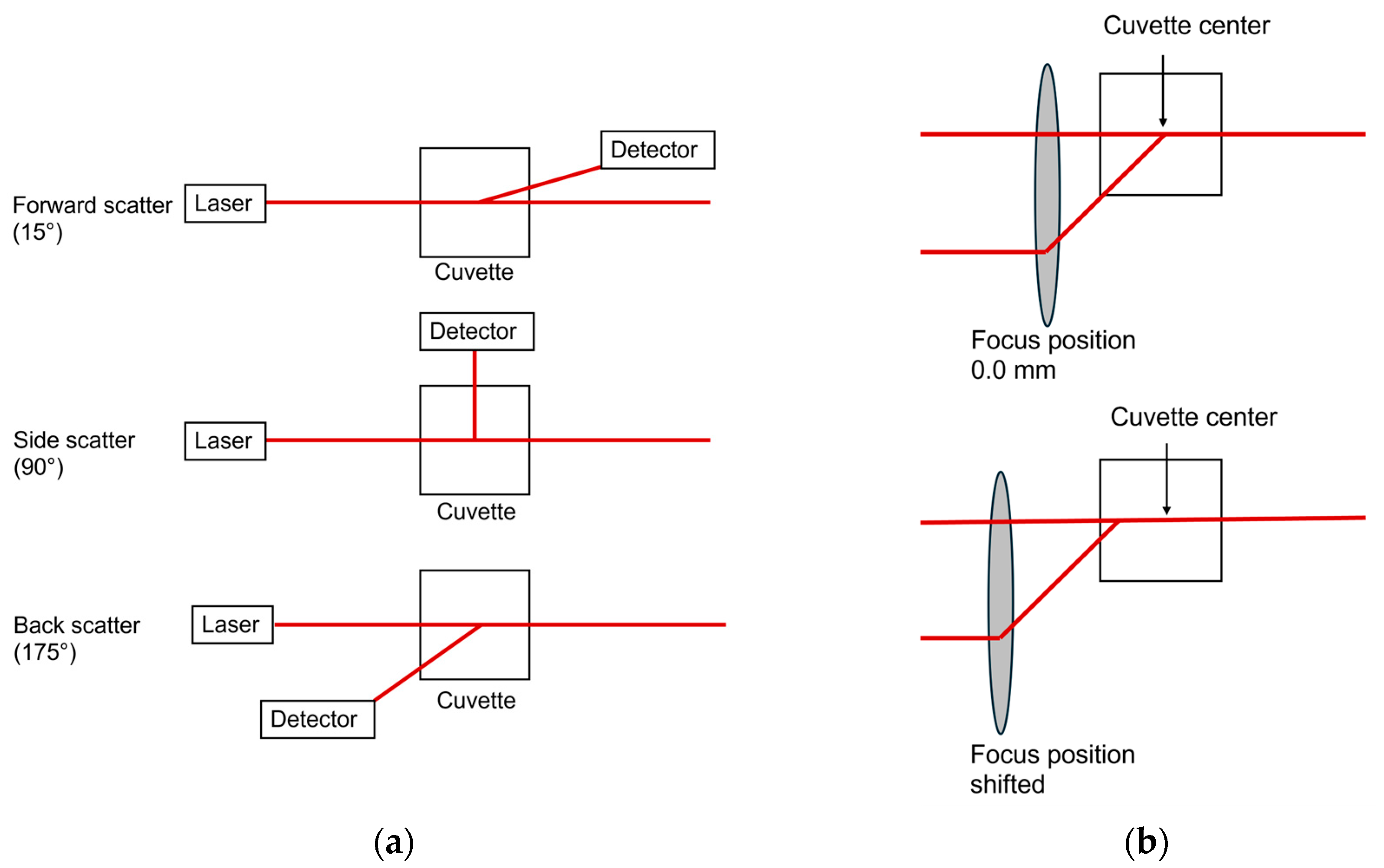 Pharmaceutics 17 00684 g0a1