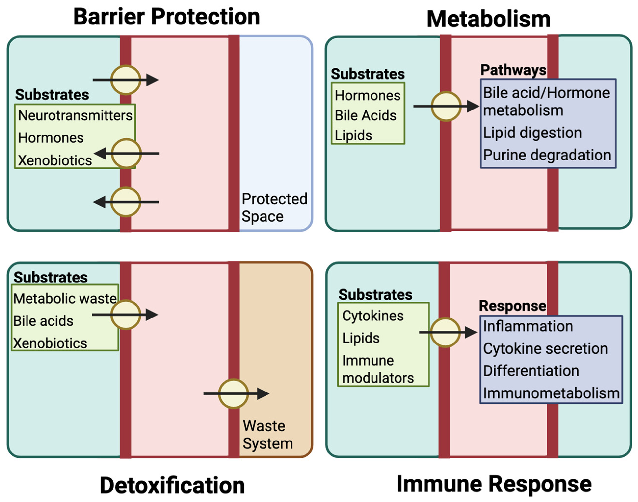 Pharmaceutics 17 00685 g002