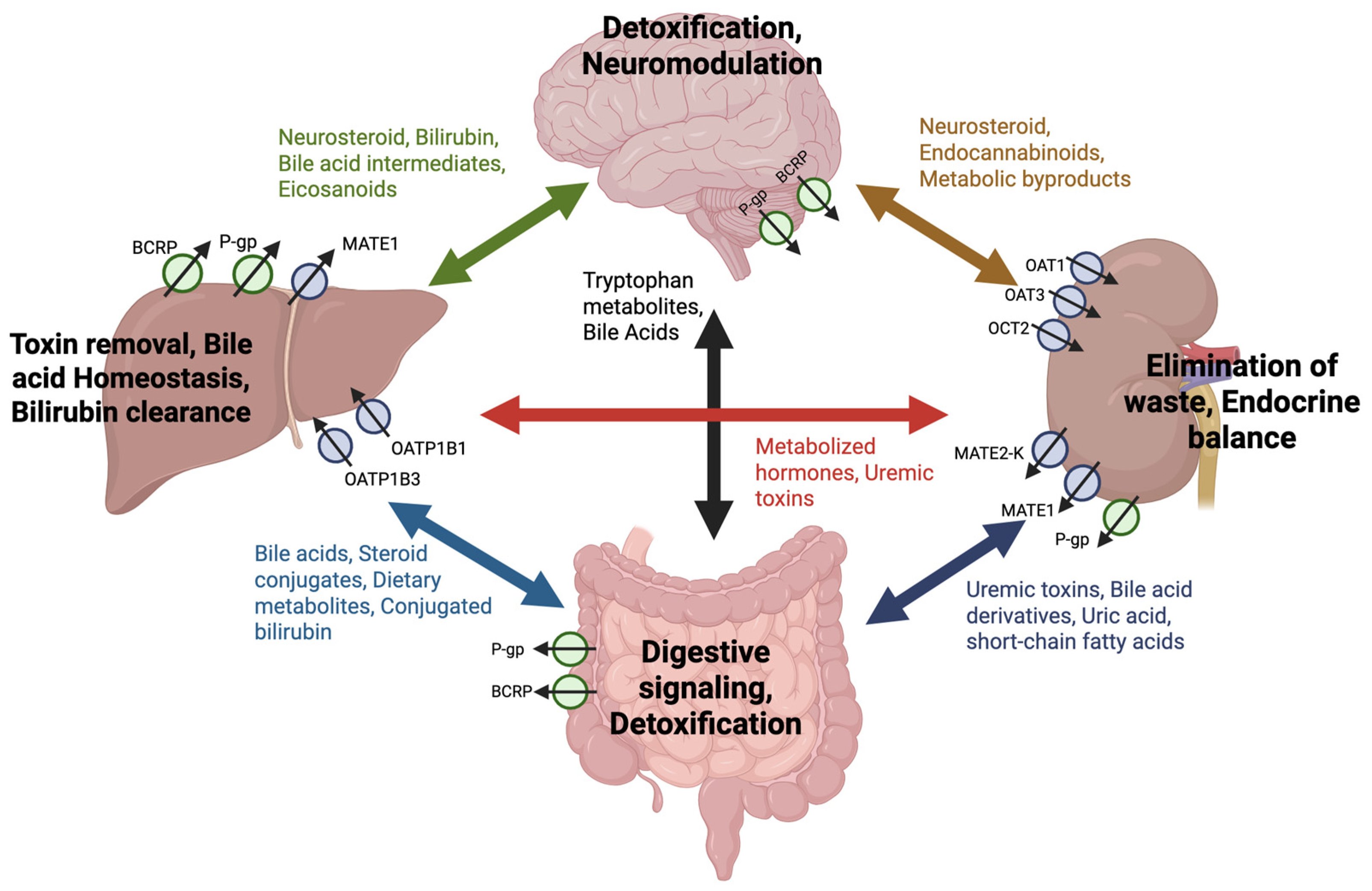 Pharmaceutics 17 00685 g003
