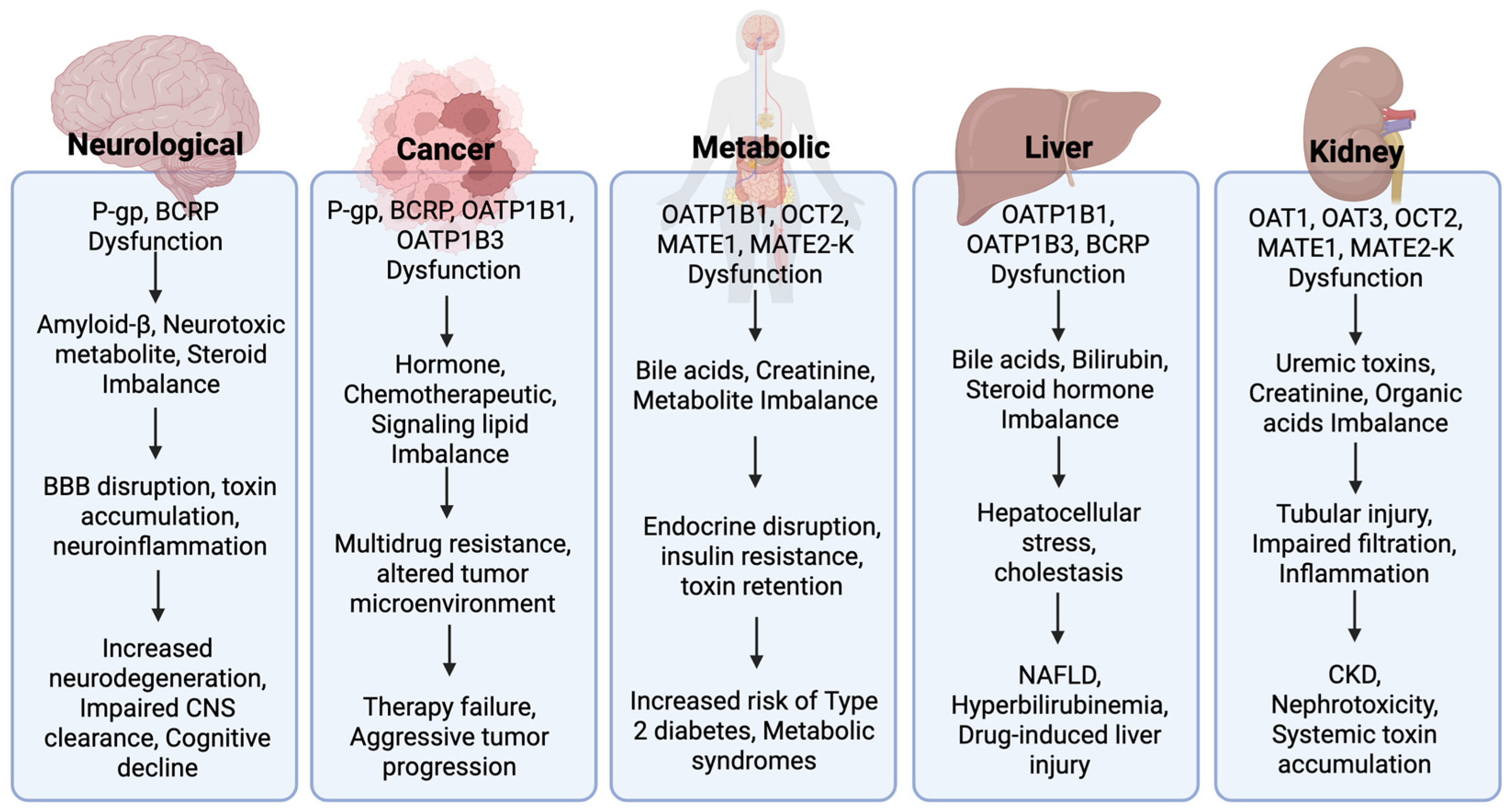 Pharmaceutics 17 00685 g004