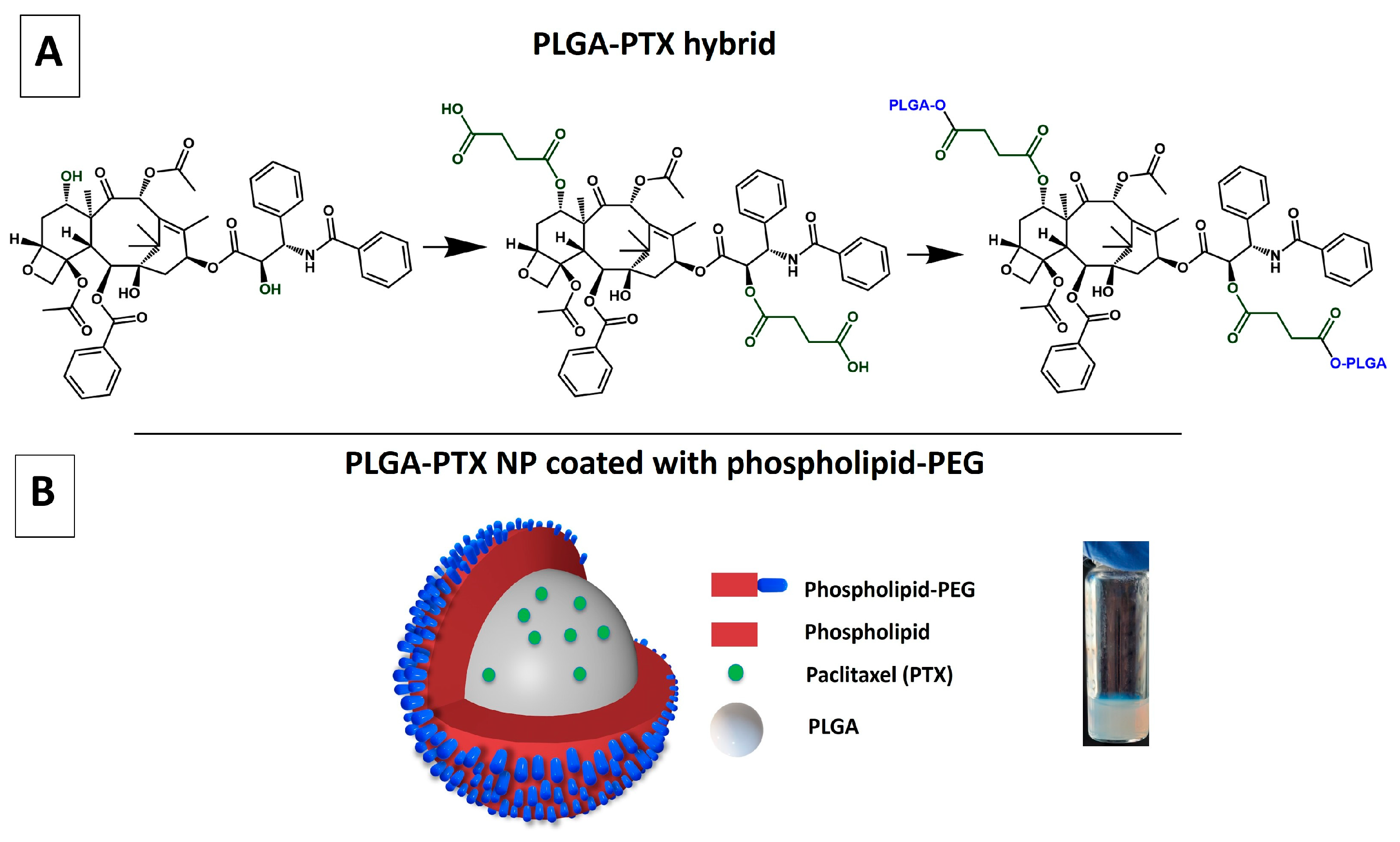 Pharmaceutics 17 00689 g006