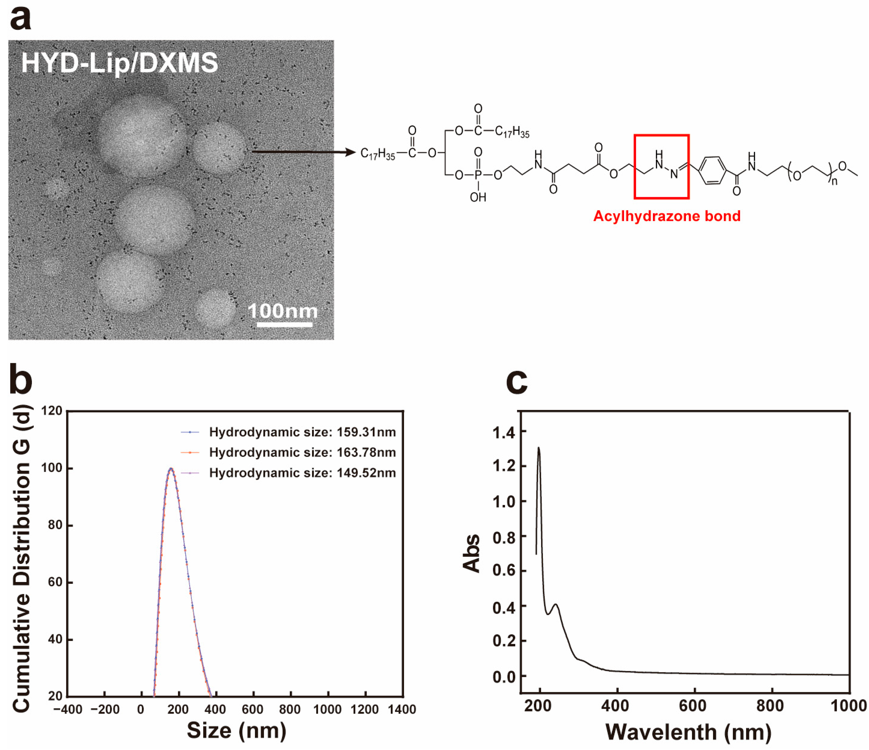 Pharmaceutics 17 00690 g002