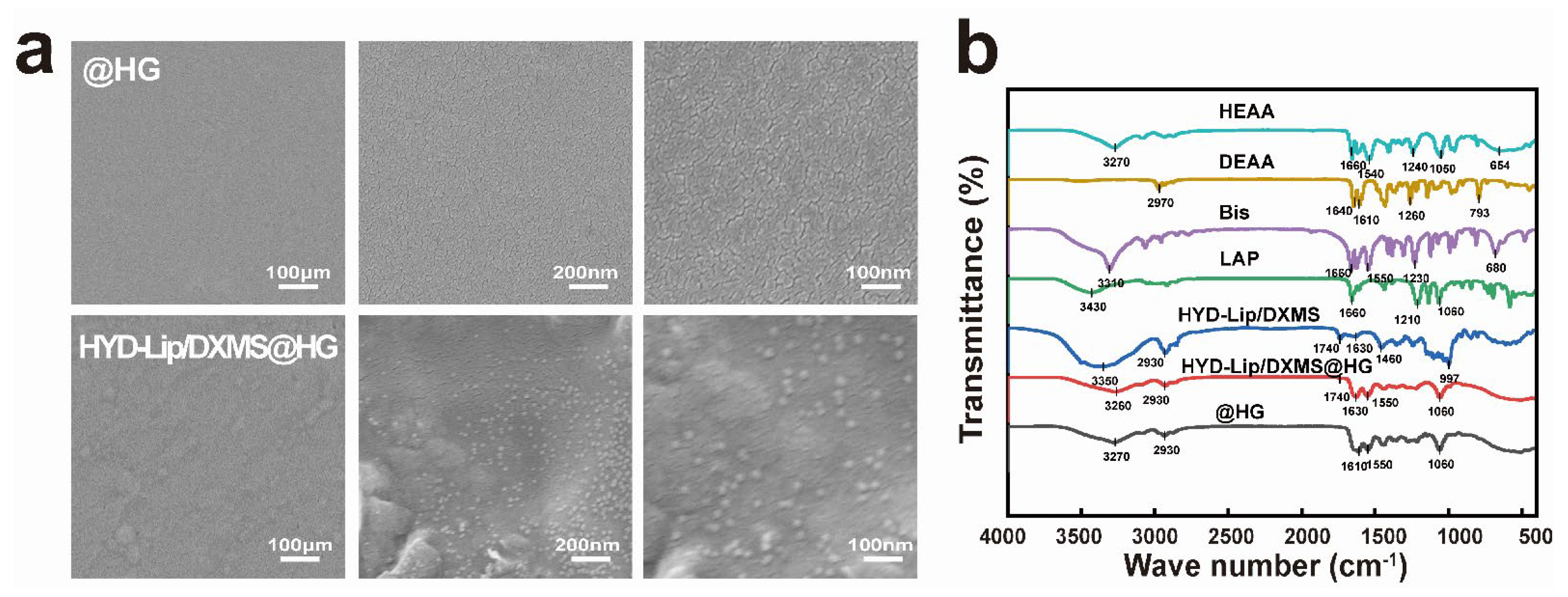 Pharmaceutics 17 00690 g003