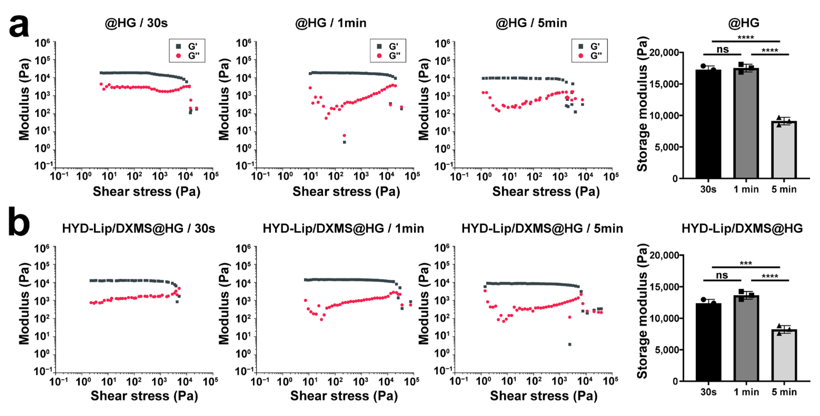 Pharmaceutics 17 00690 g004