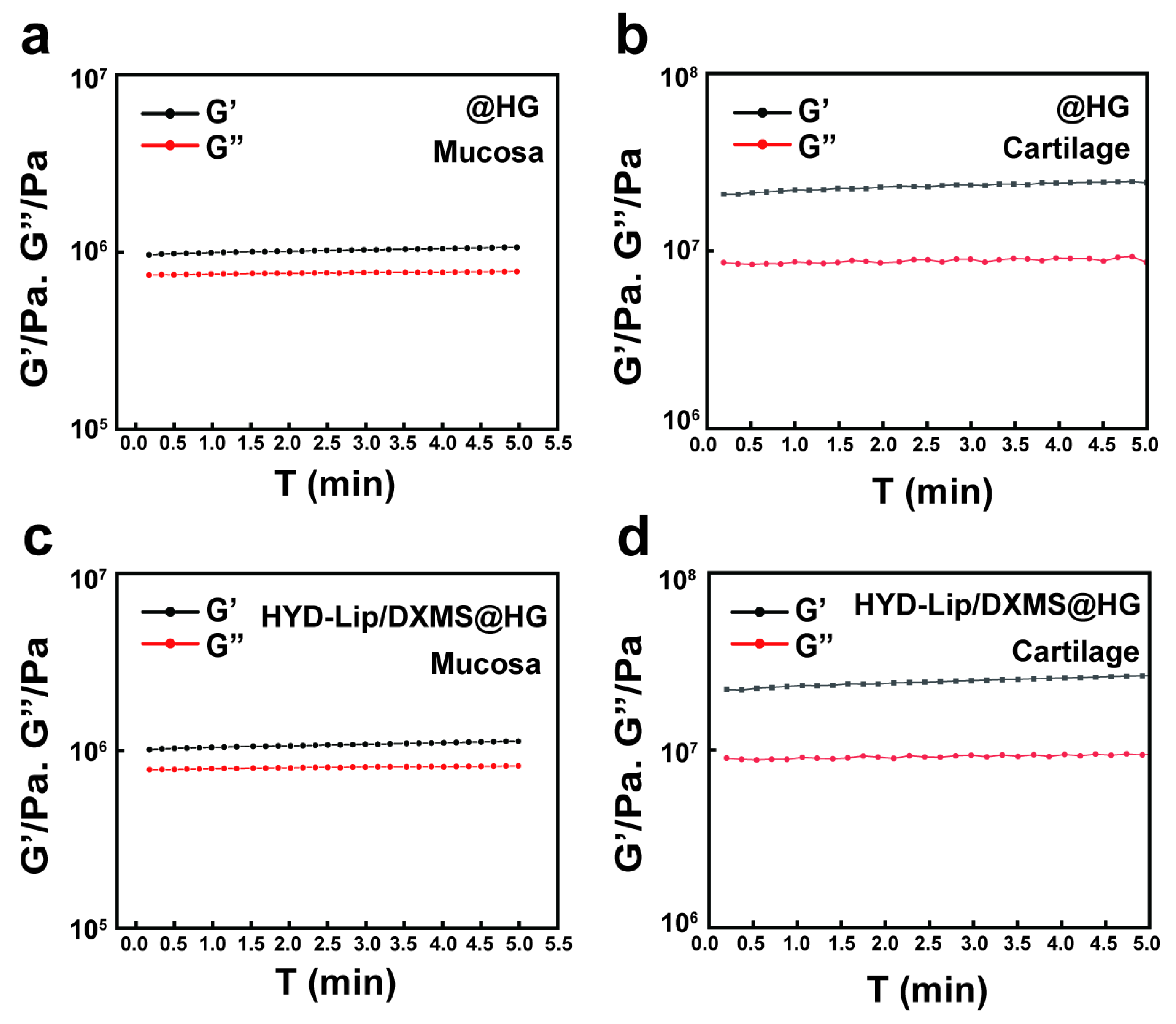 Pharmaceutics 17 00690 g006