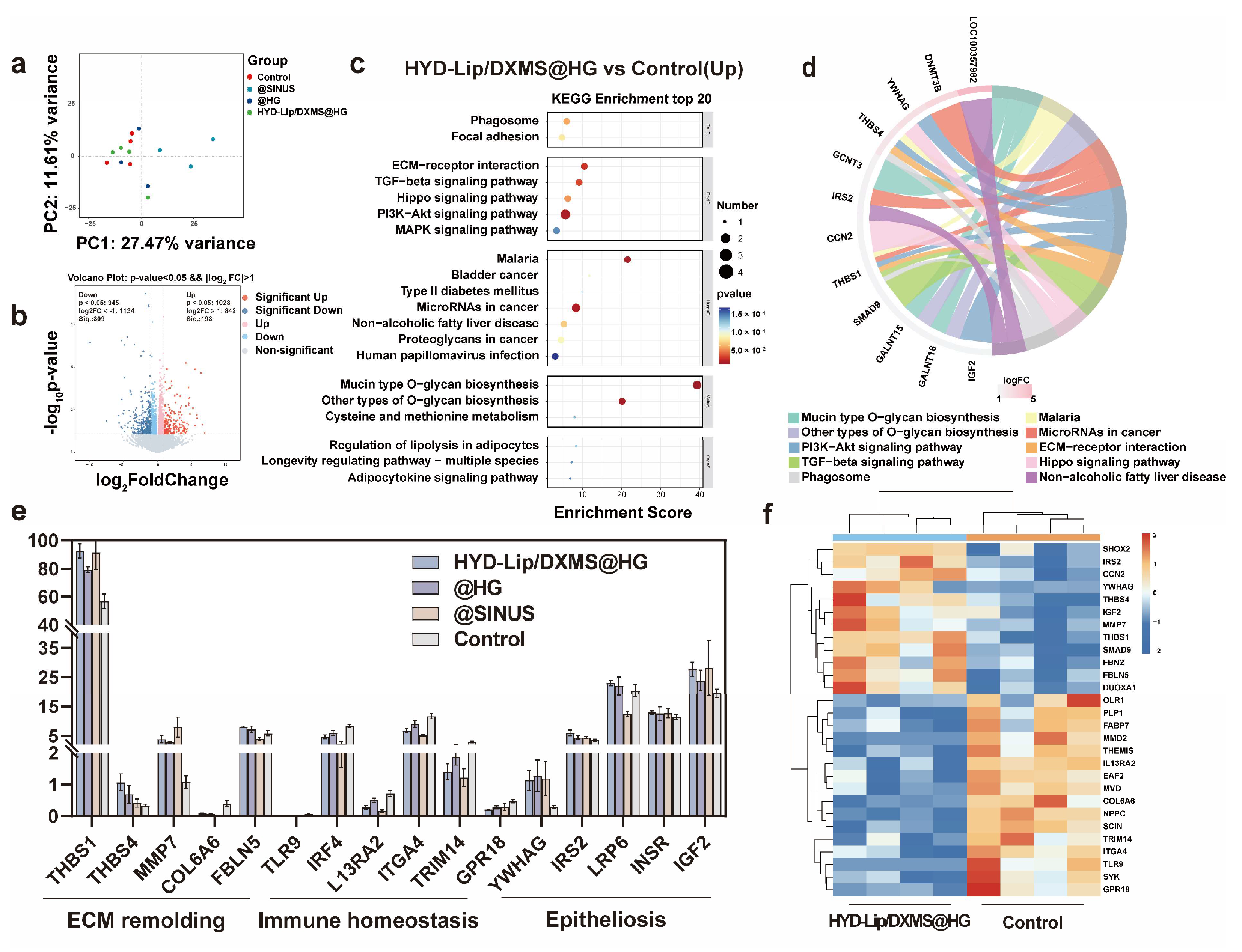 Pharmaceutics 17 00690 g012