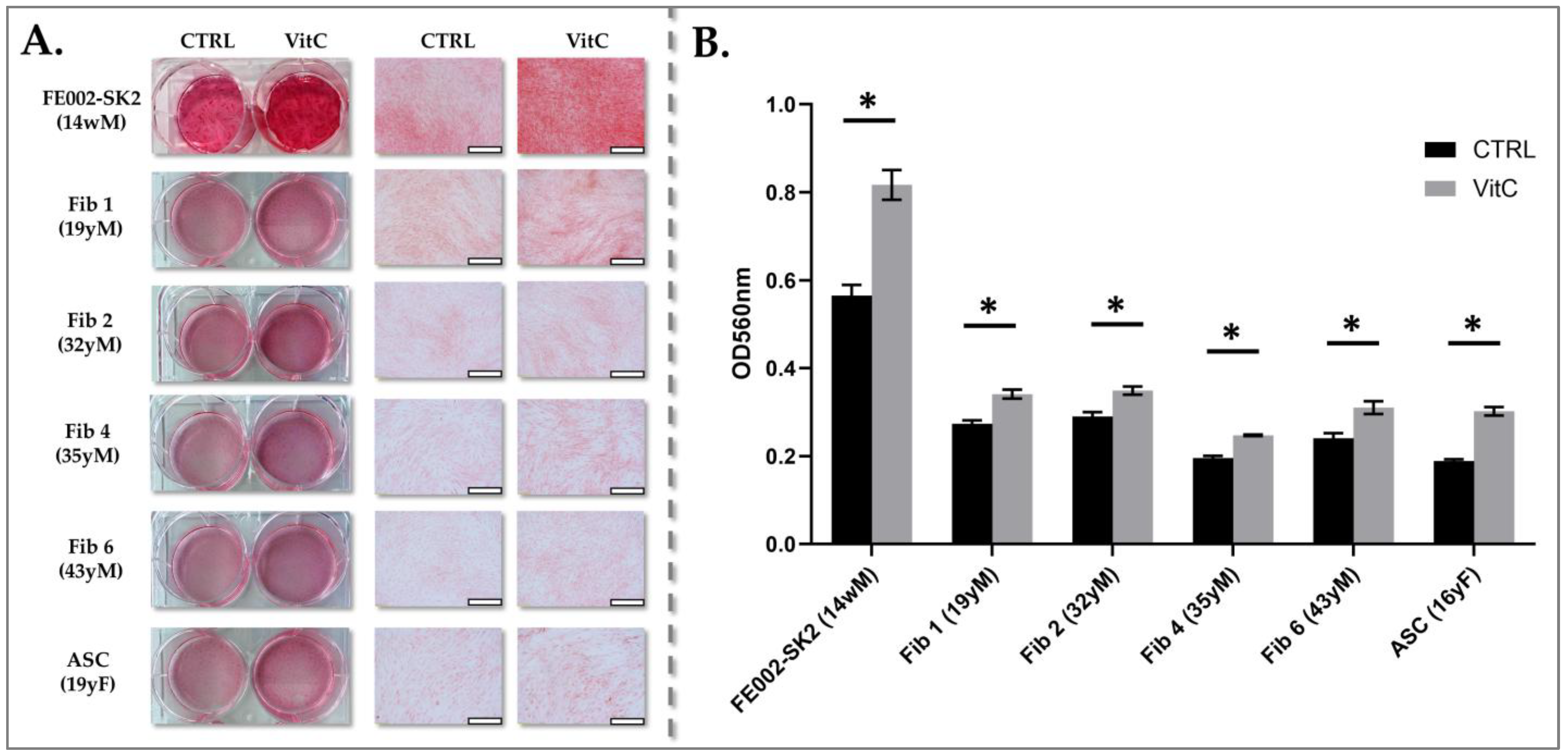 Pharmaceutics 17 00692 g007